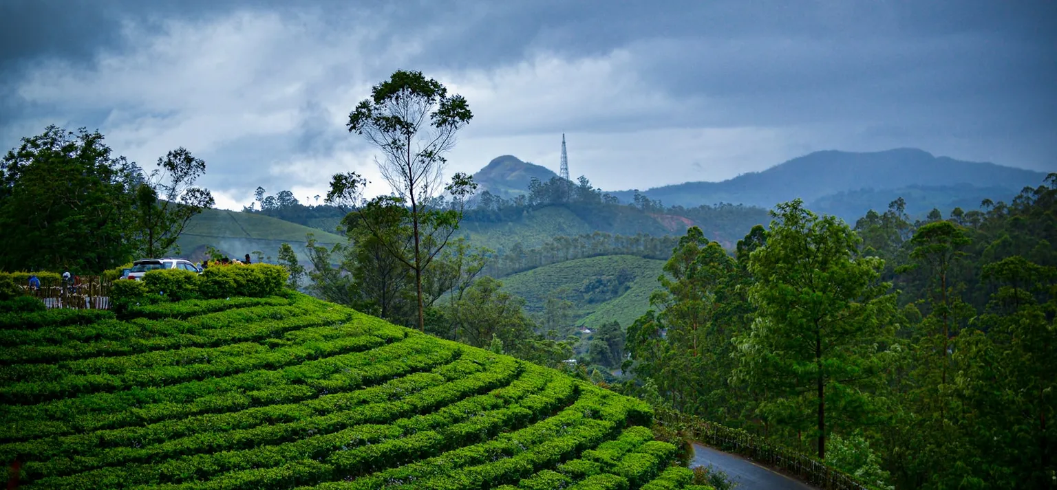 Kerala Tour Packages