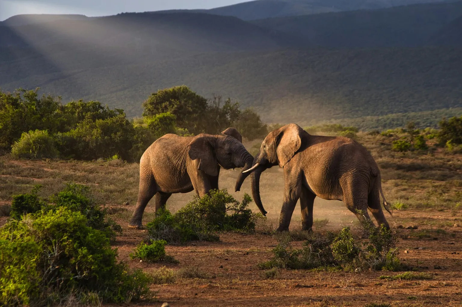 South Africa Adventure Tour Packages