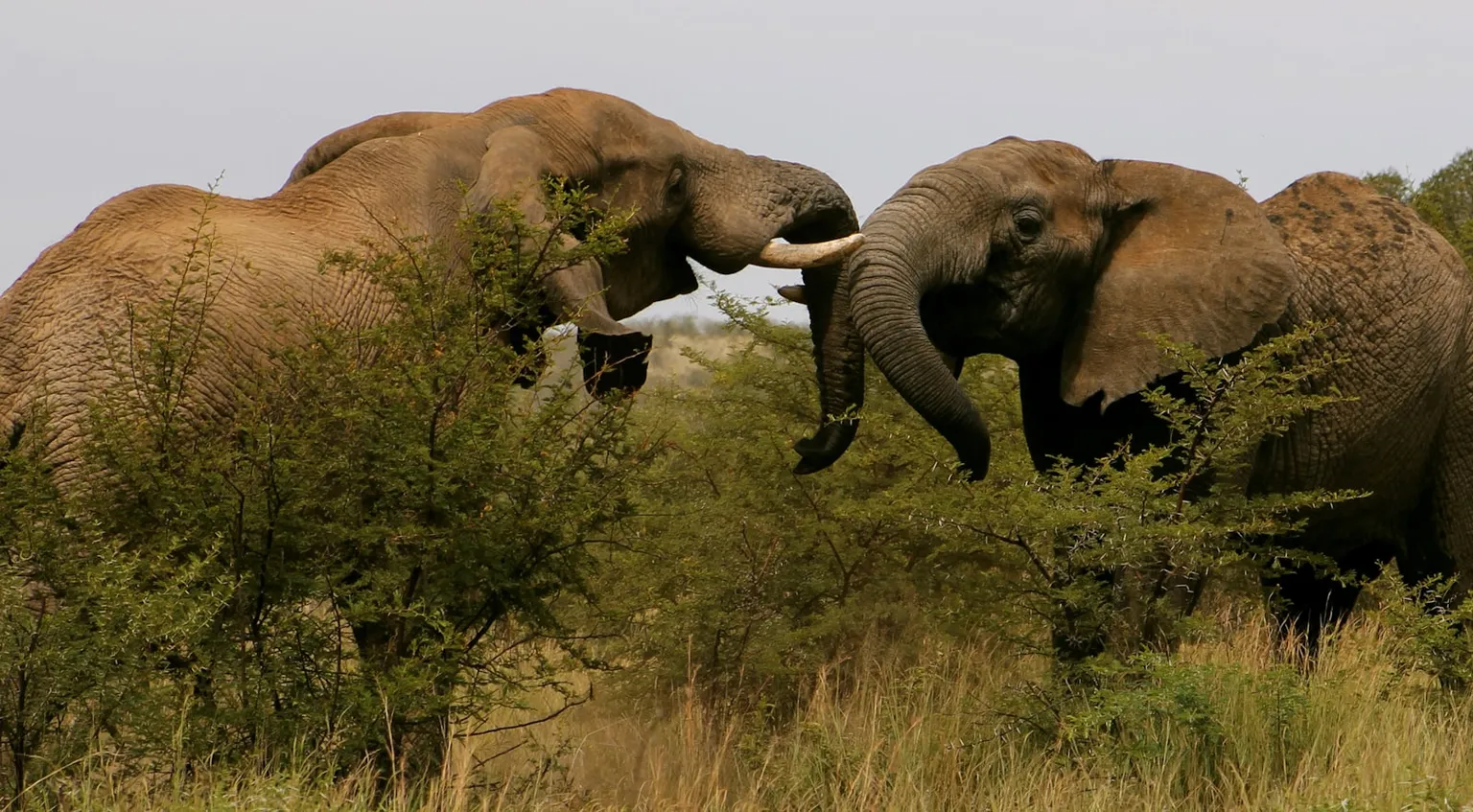 South Africa Tour Packages
