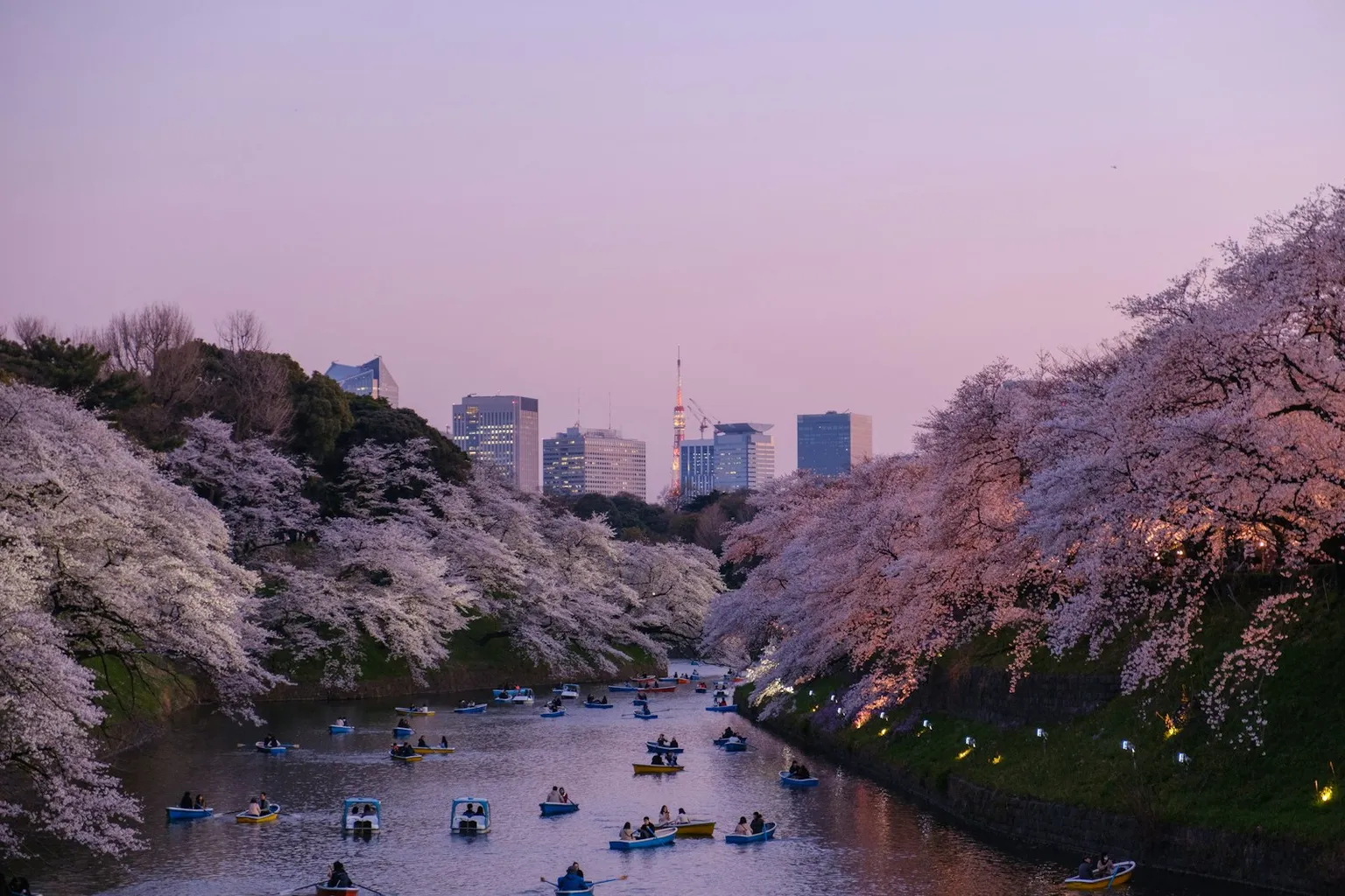 Japan Tour Packages