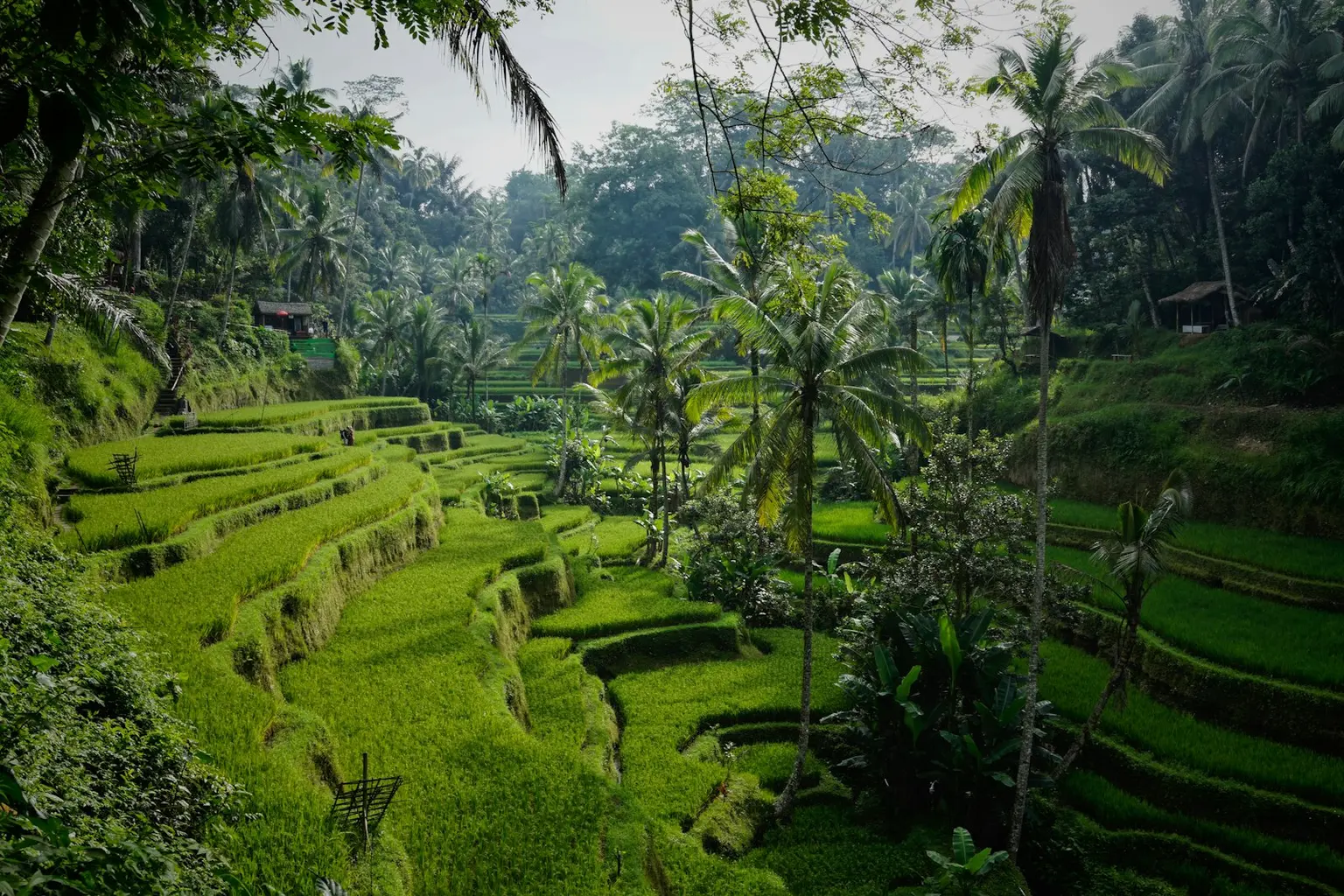 Bali Tour Packages