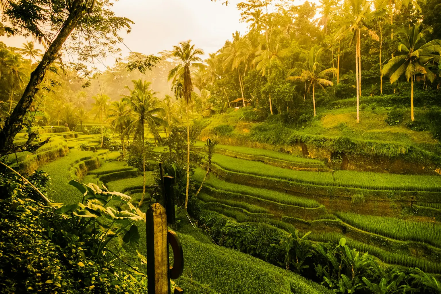 Bali Tour Packages