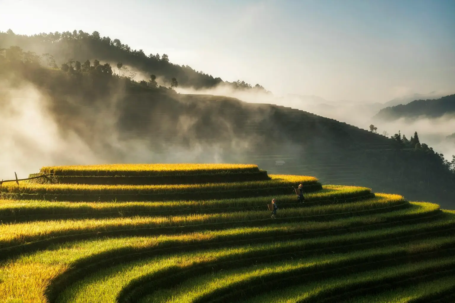 Vietnam Tour Packages
