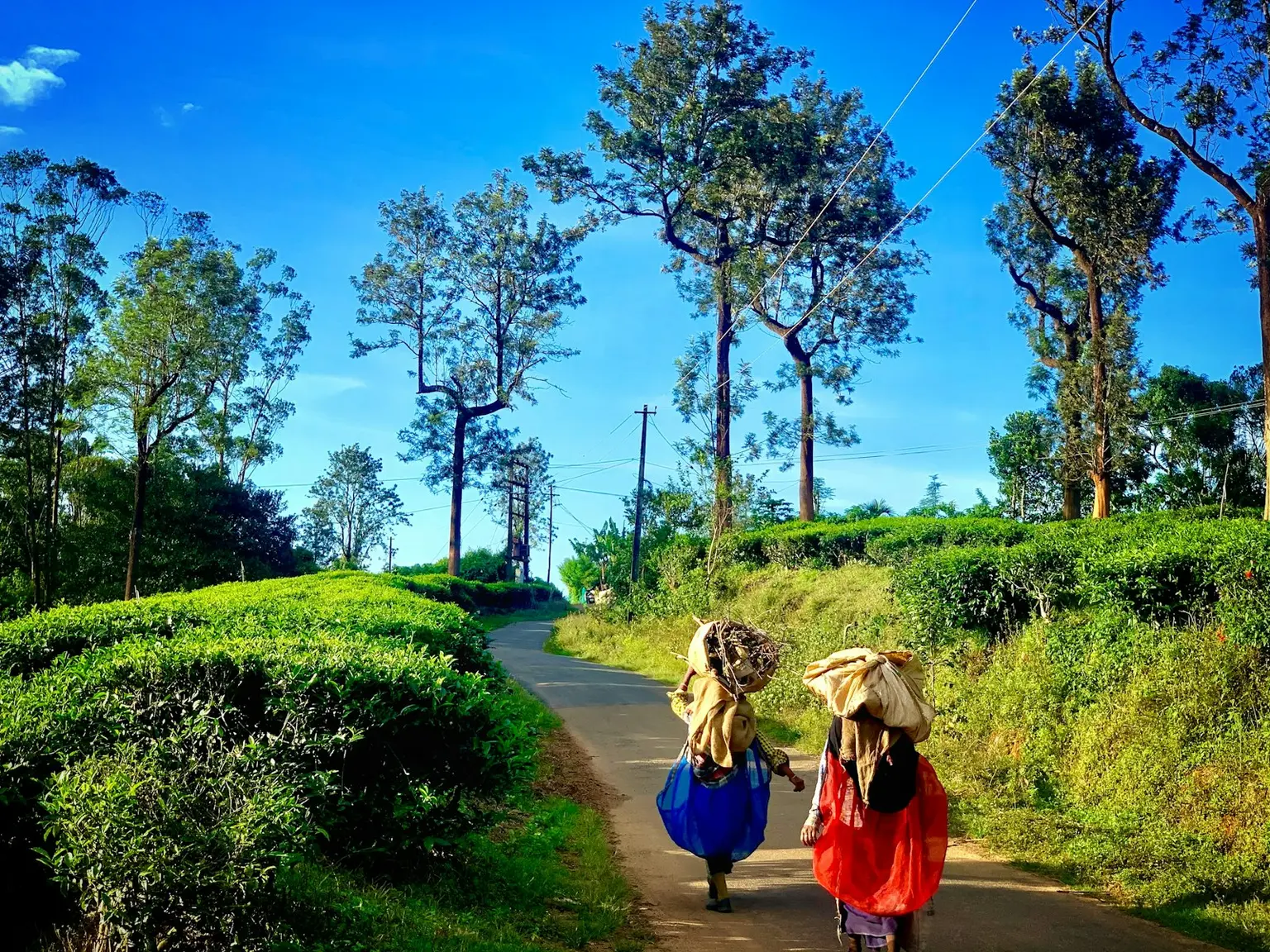 Kerala Tour Packages