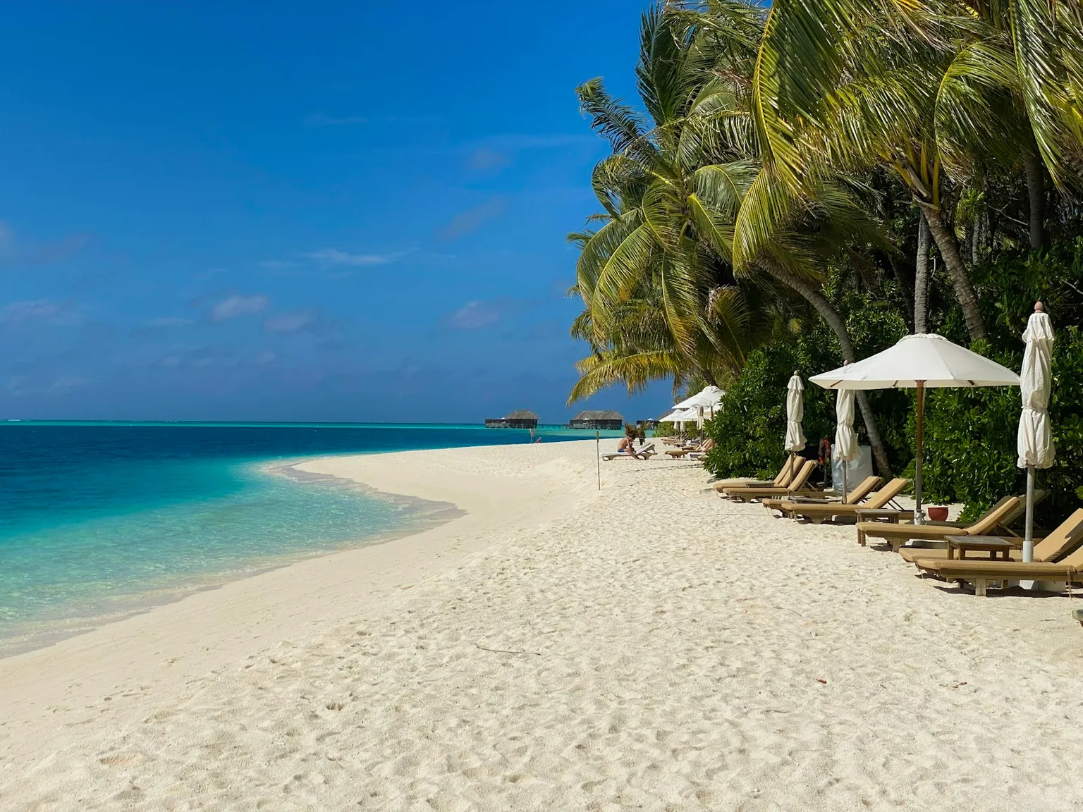 Maldives Tour Packages
