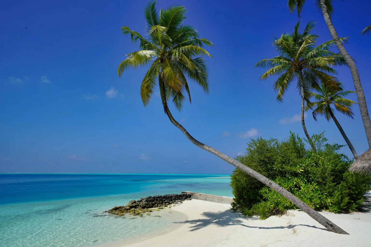 Maldives Tour Packages