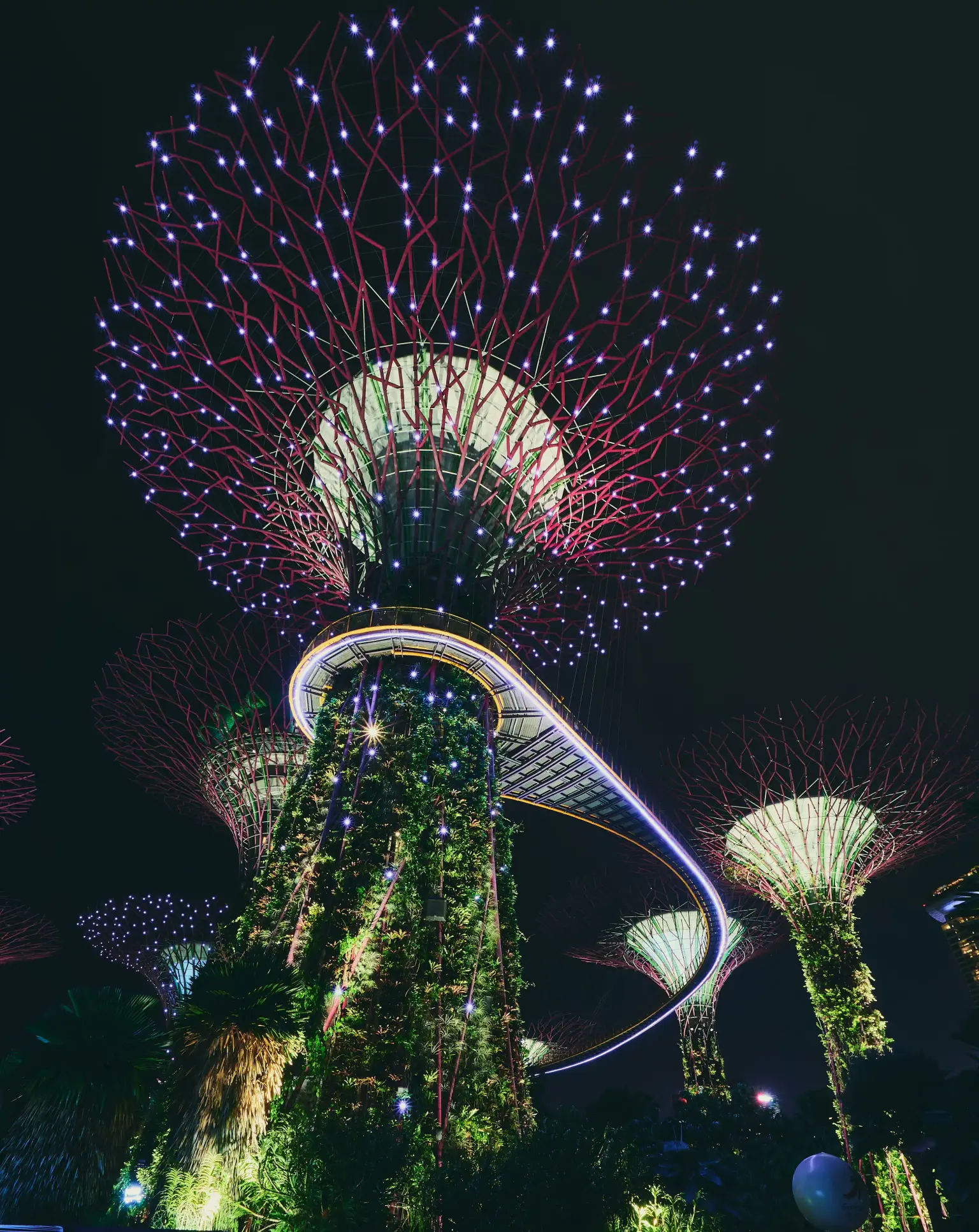 Explore Singapore Tour Packages with Us