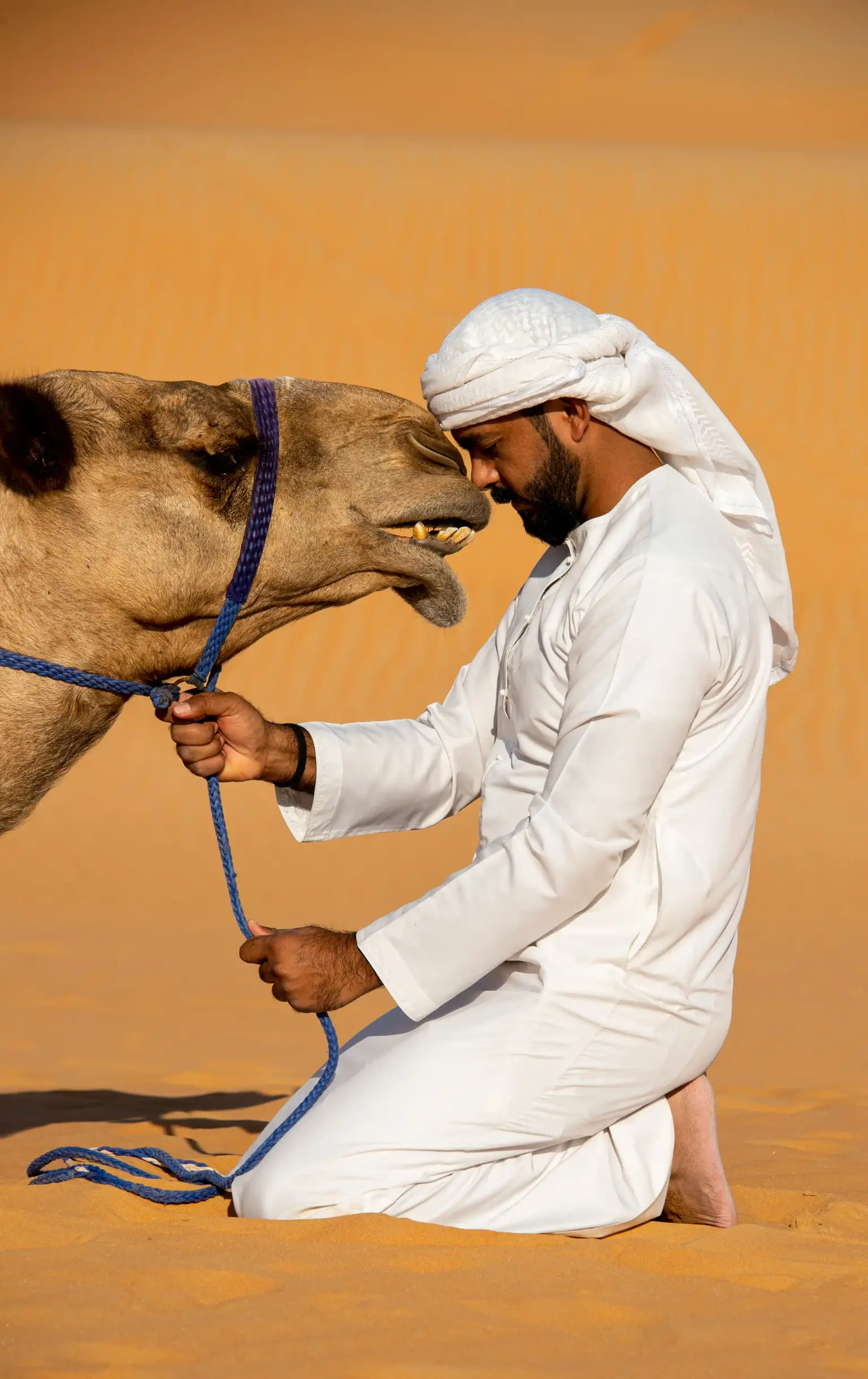 Culture of Dubai
