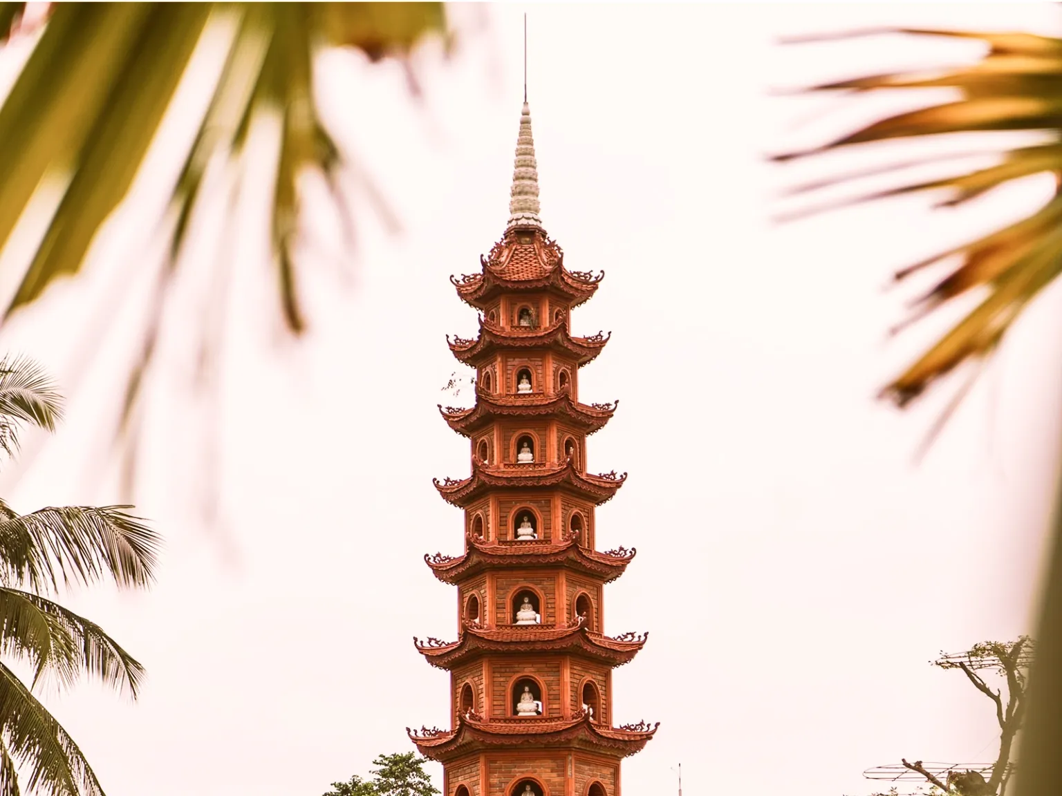 Vietnam Cultural Odyssey