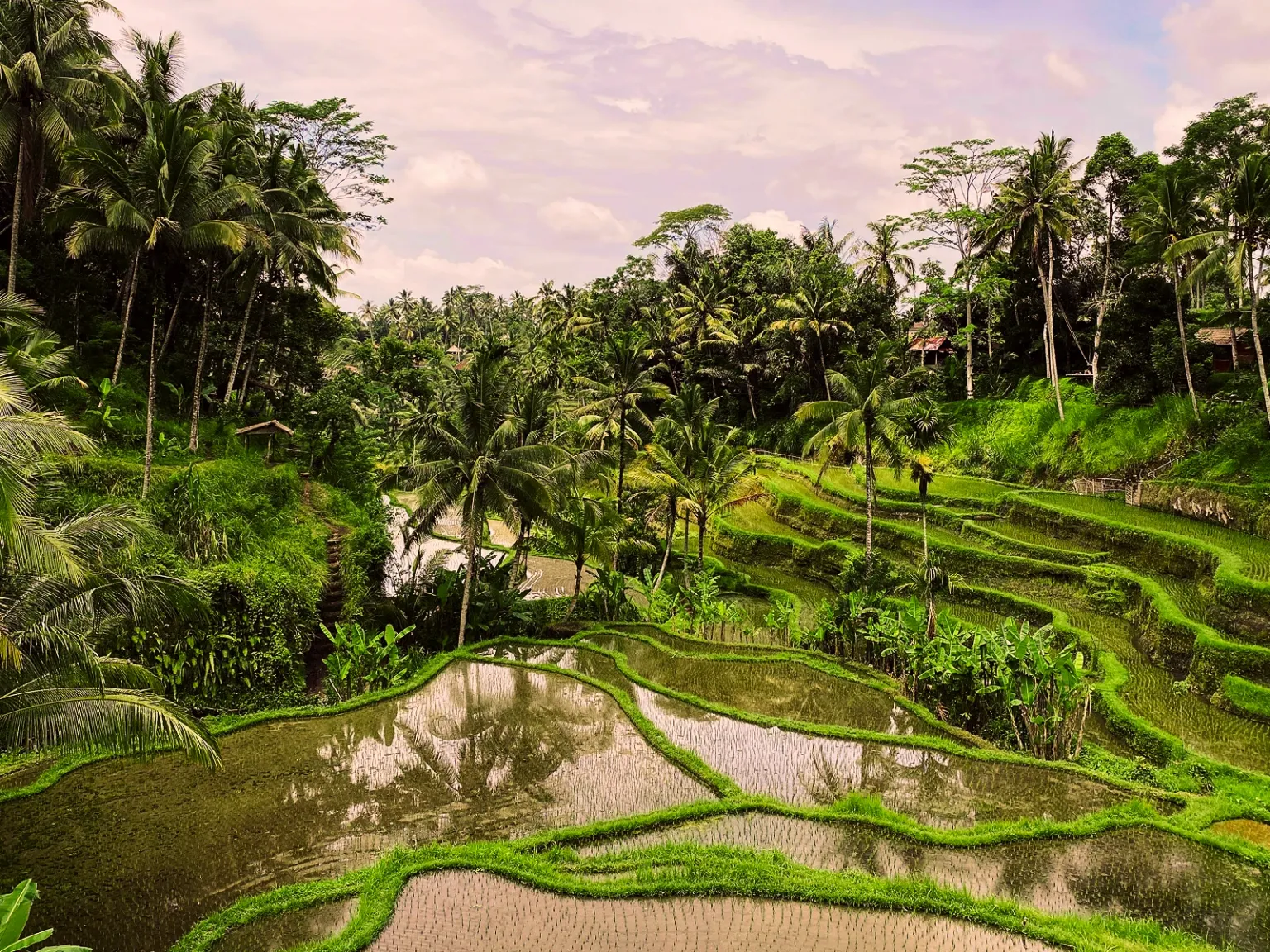 Ubud & Kuta Adventure