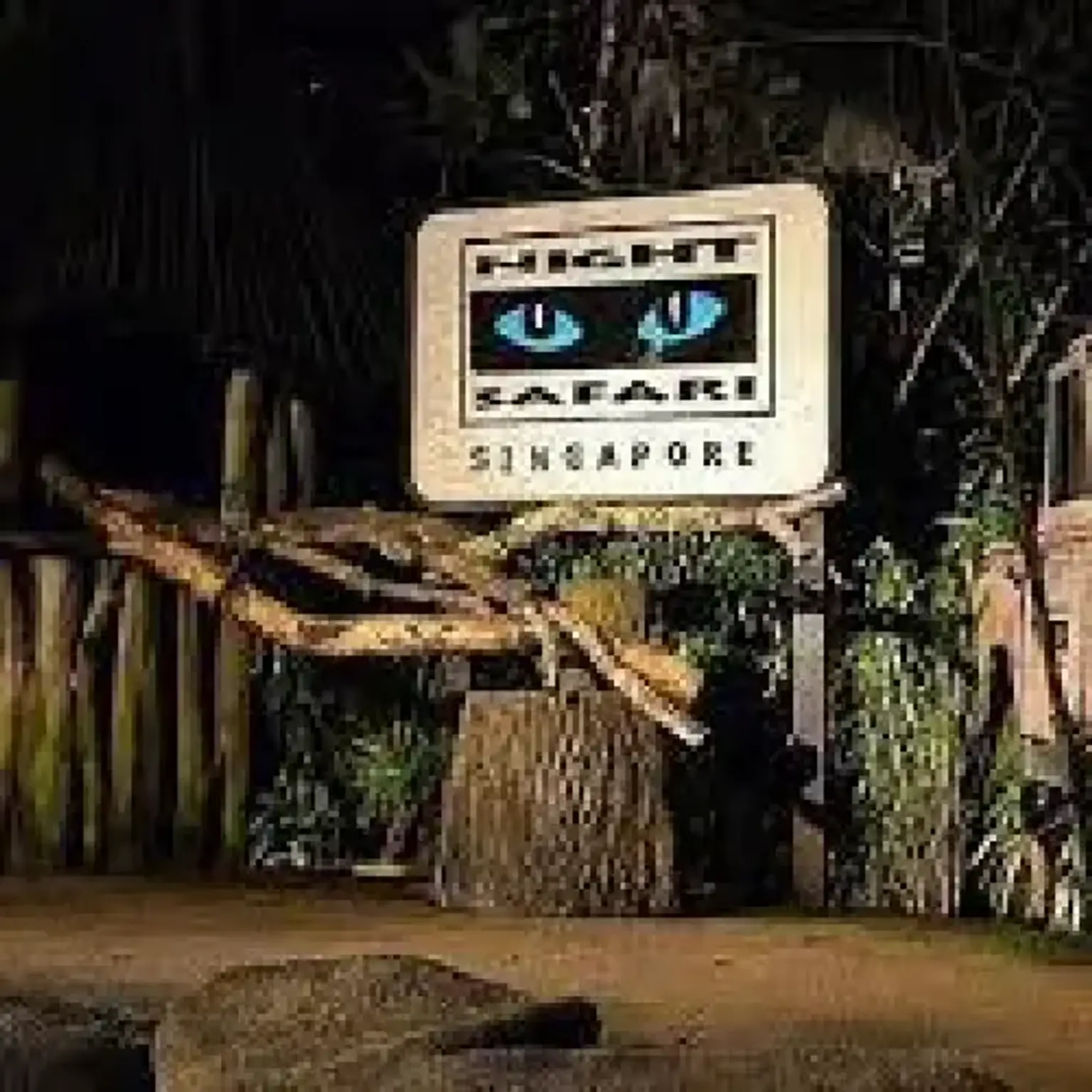 Singapore Night Safari with Return Shared Transfer(8 May, 2025 Onwards)