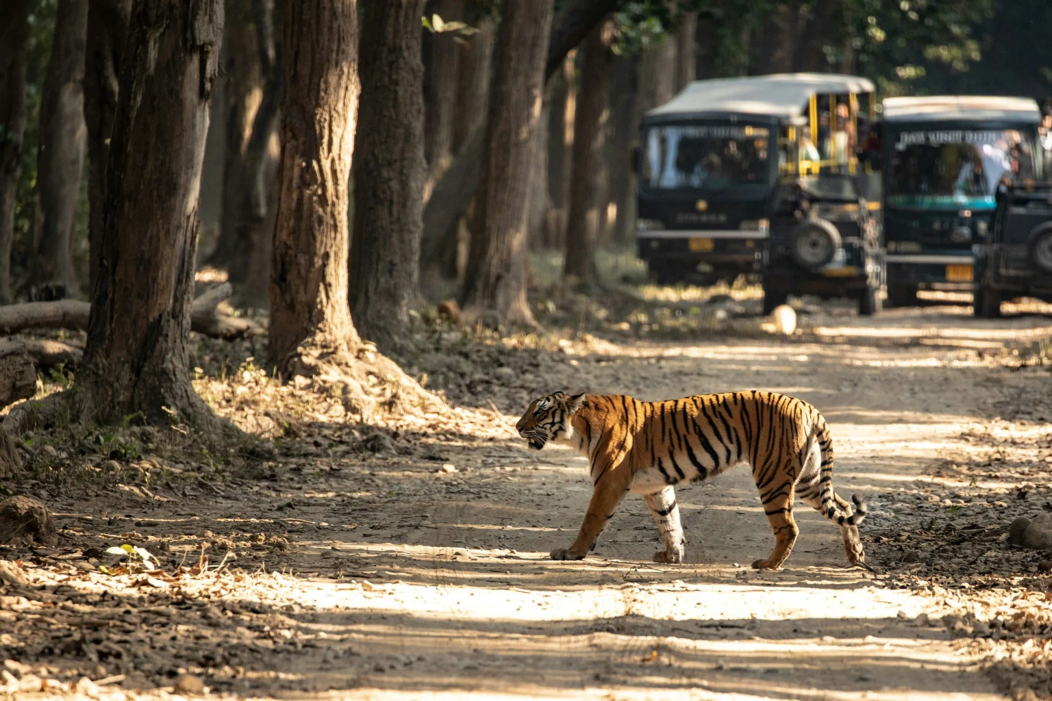 Excursion to Jim Corbett National Park