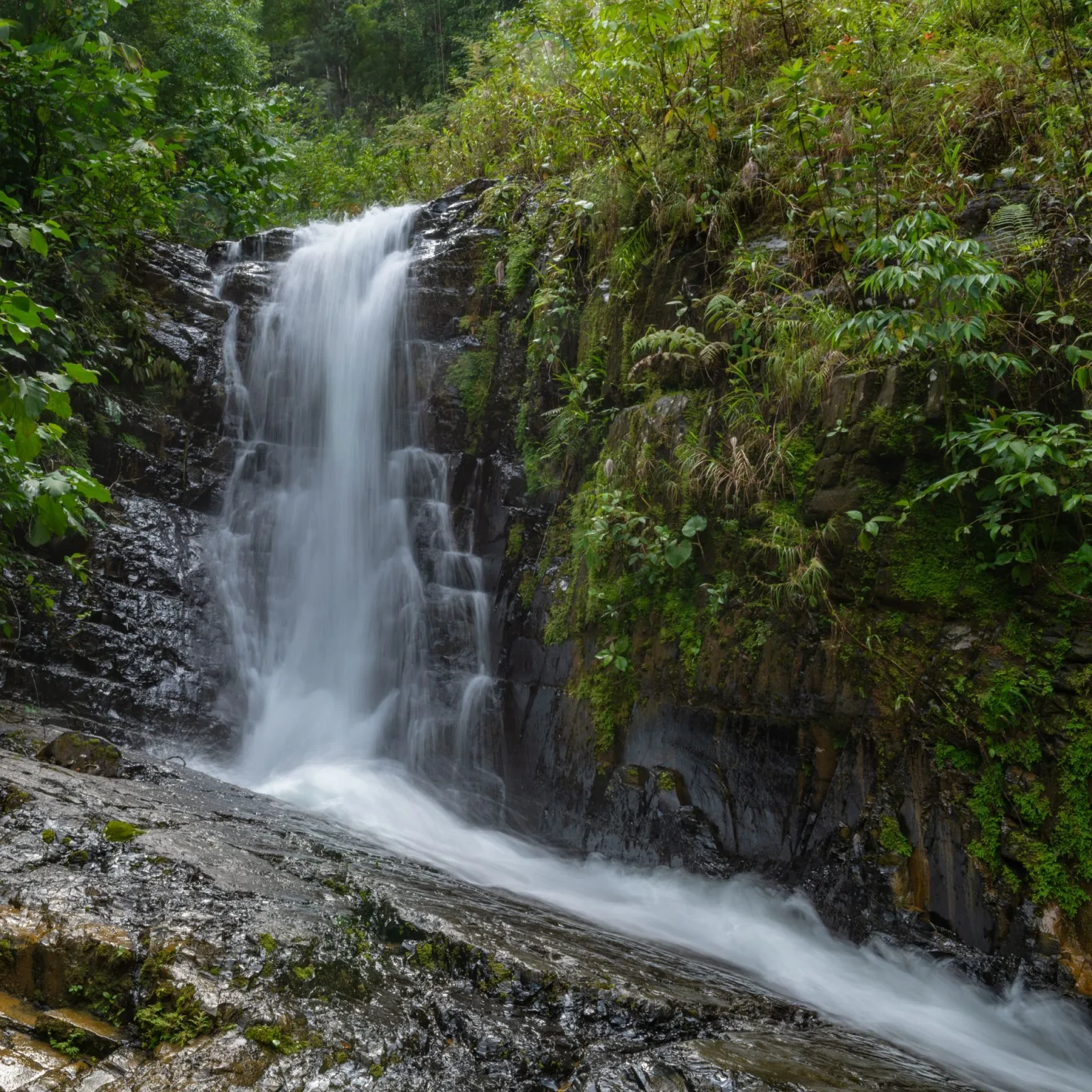 Bhagsu Waterfall & Bhagsunag Temple