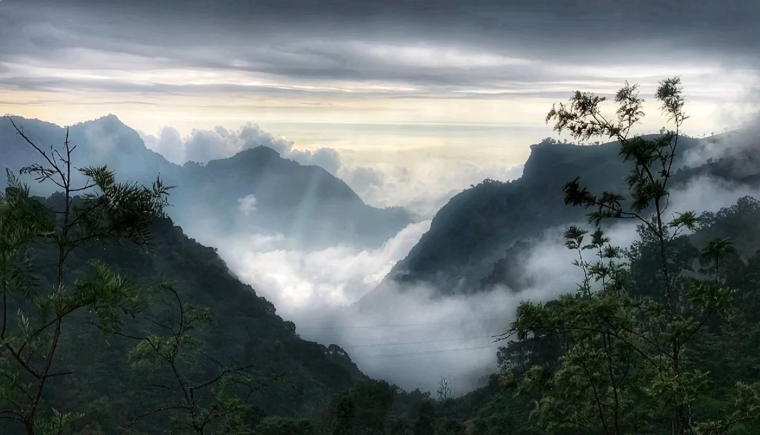 Excursion to Coonoor