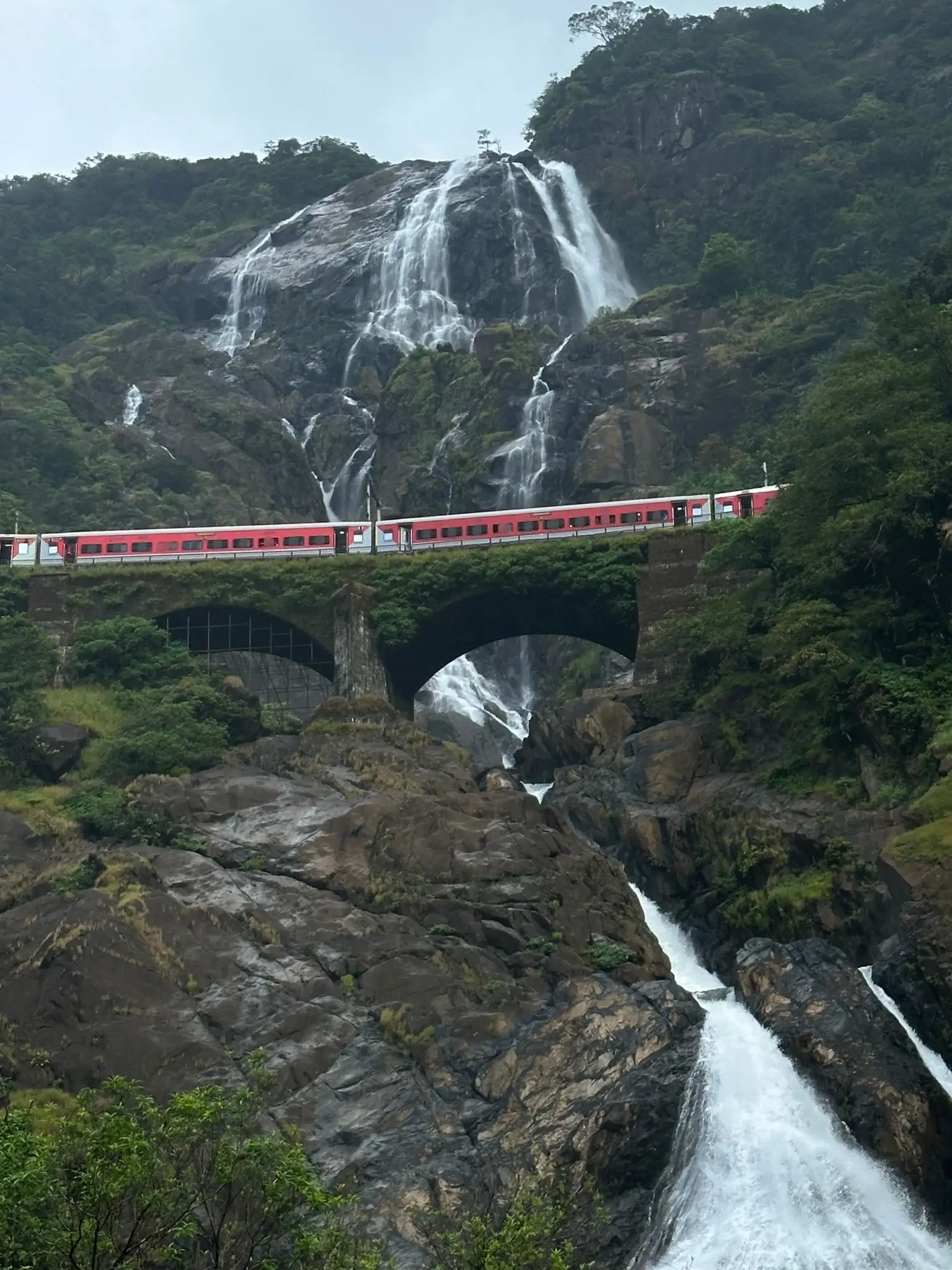 Excursion to Dudhsagar Falls