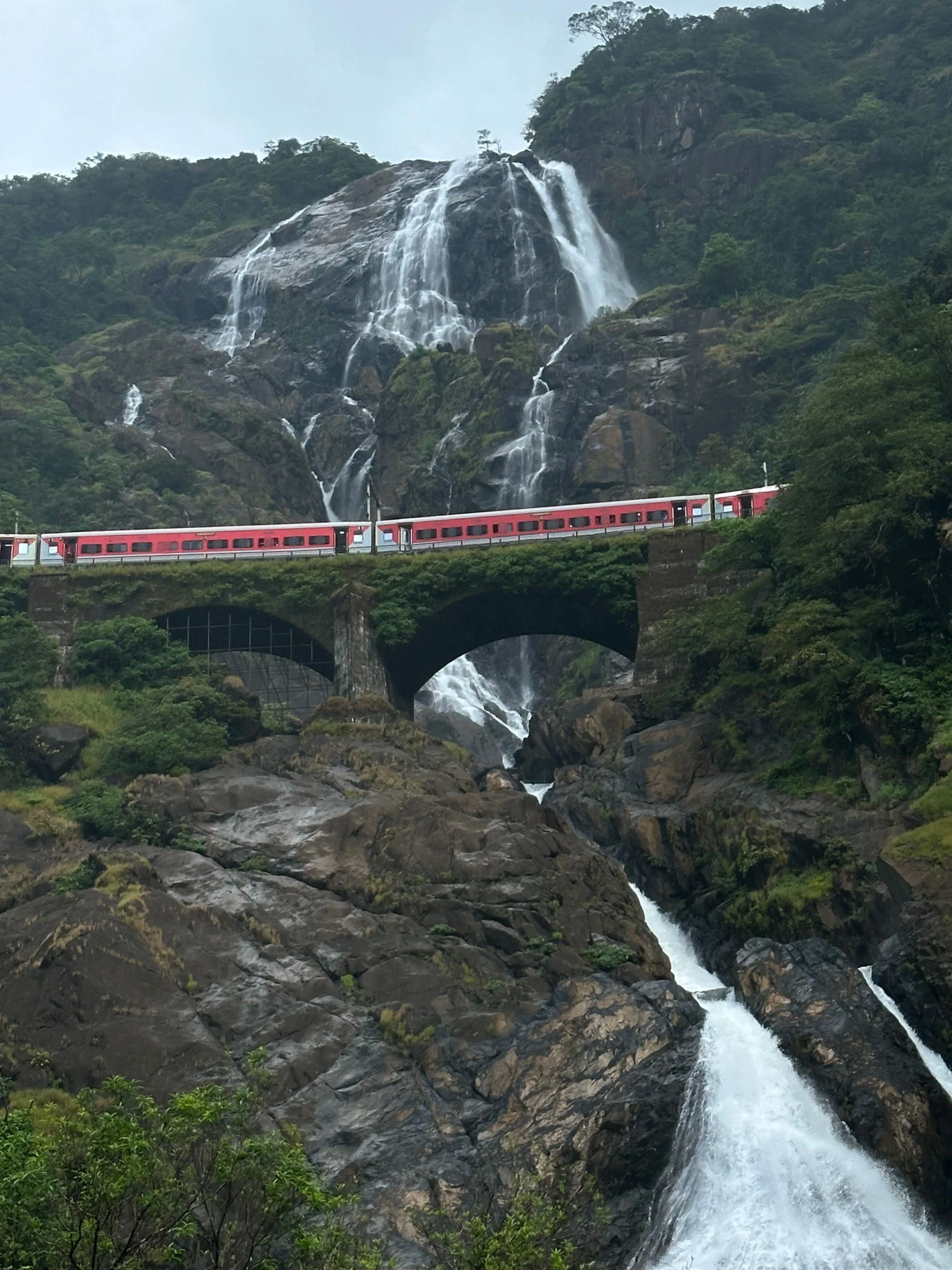 Excursion to Dudhsagar Falls