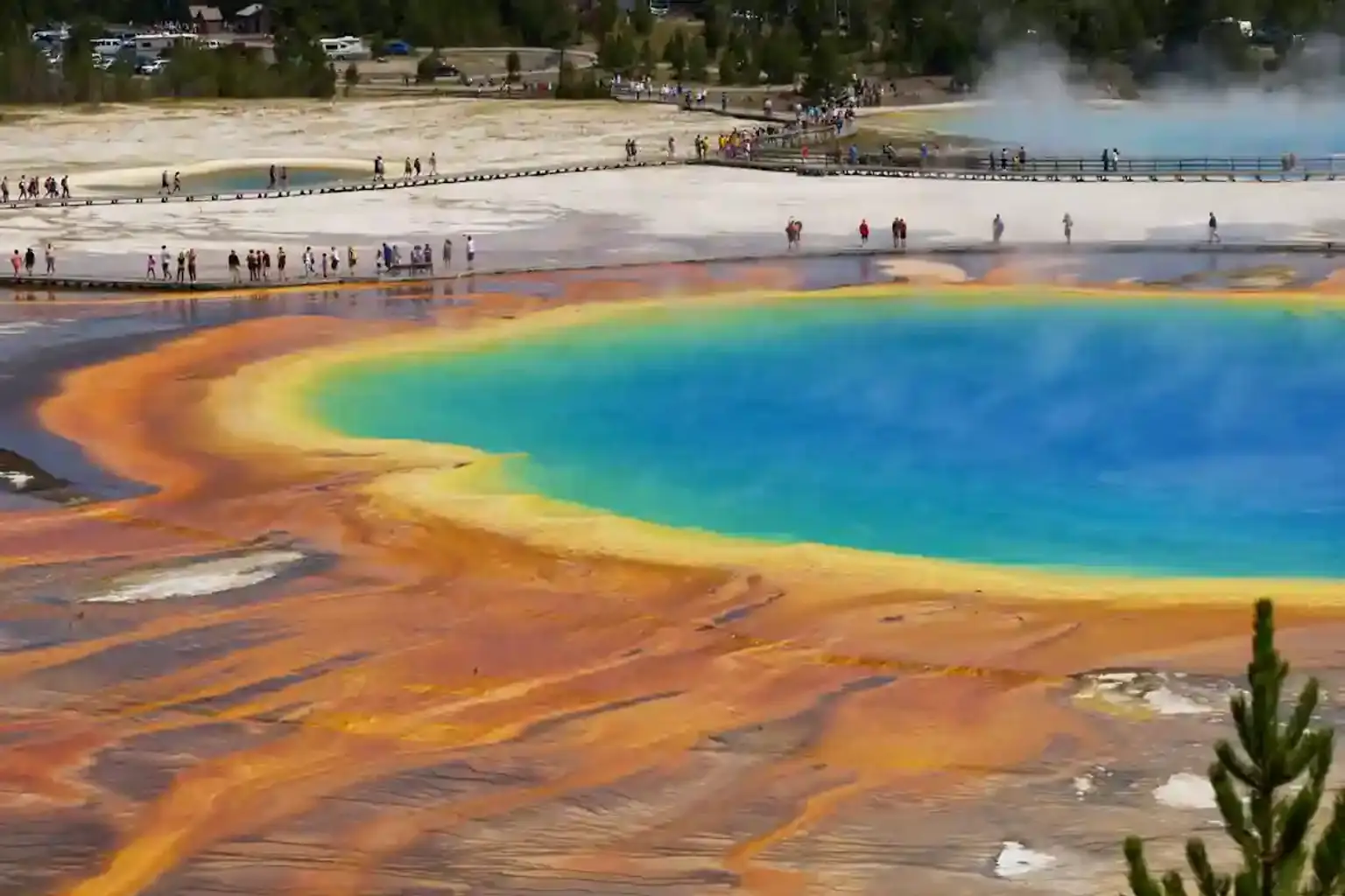 Yellowstone Deep Exploration – Grand Canyon, Mammoth Hot Springs & Hayden Valley