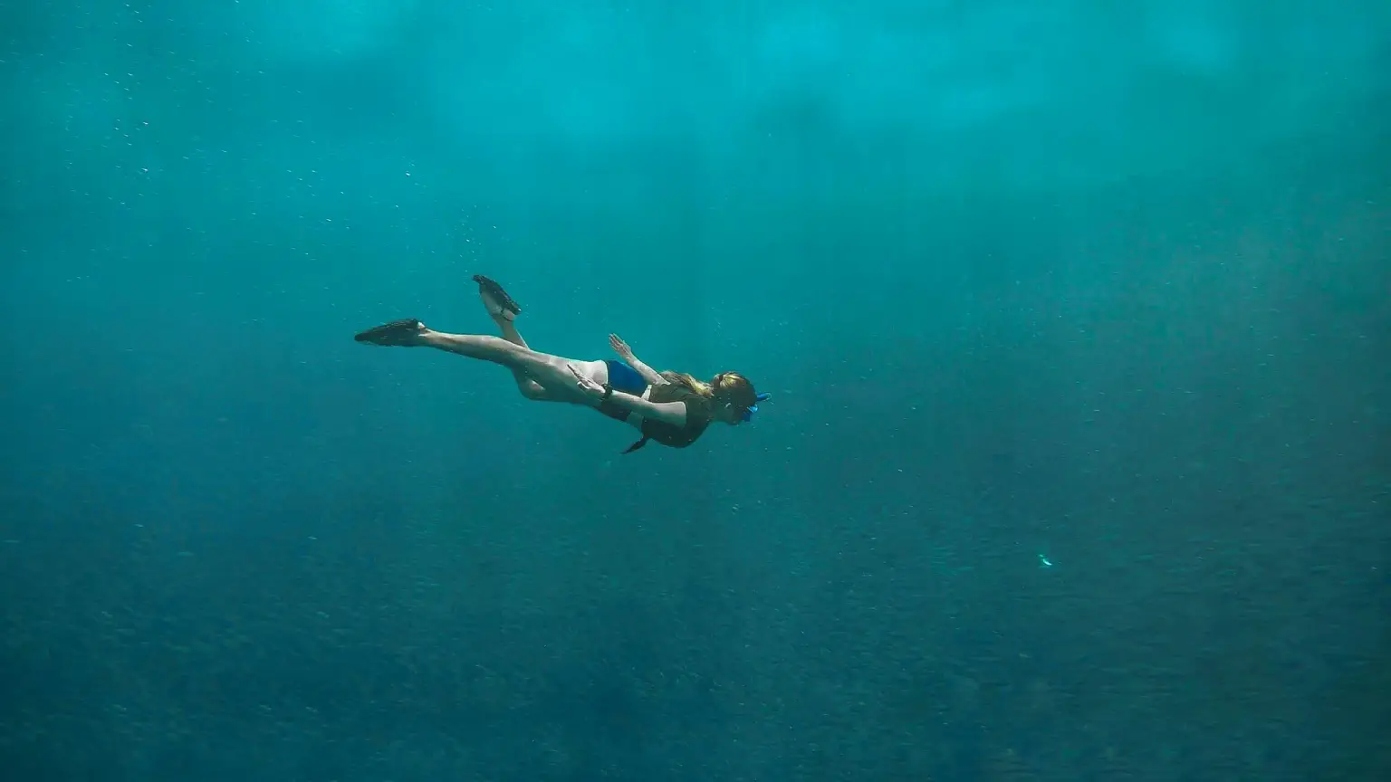 Day at leisure or optional Scuba Diving at the hotel’s reef and at neighboring dive sites.