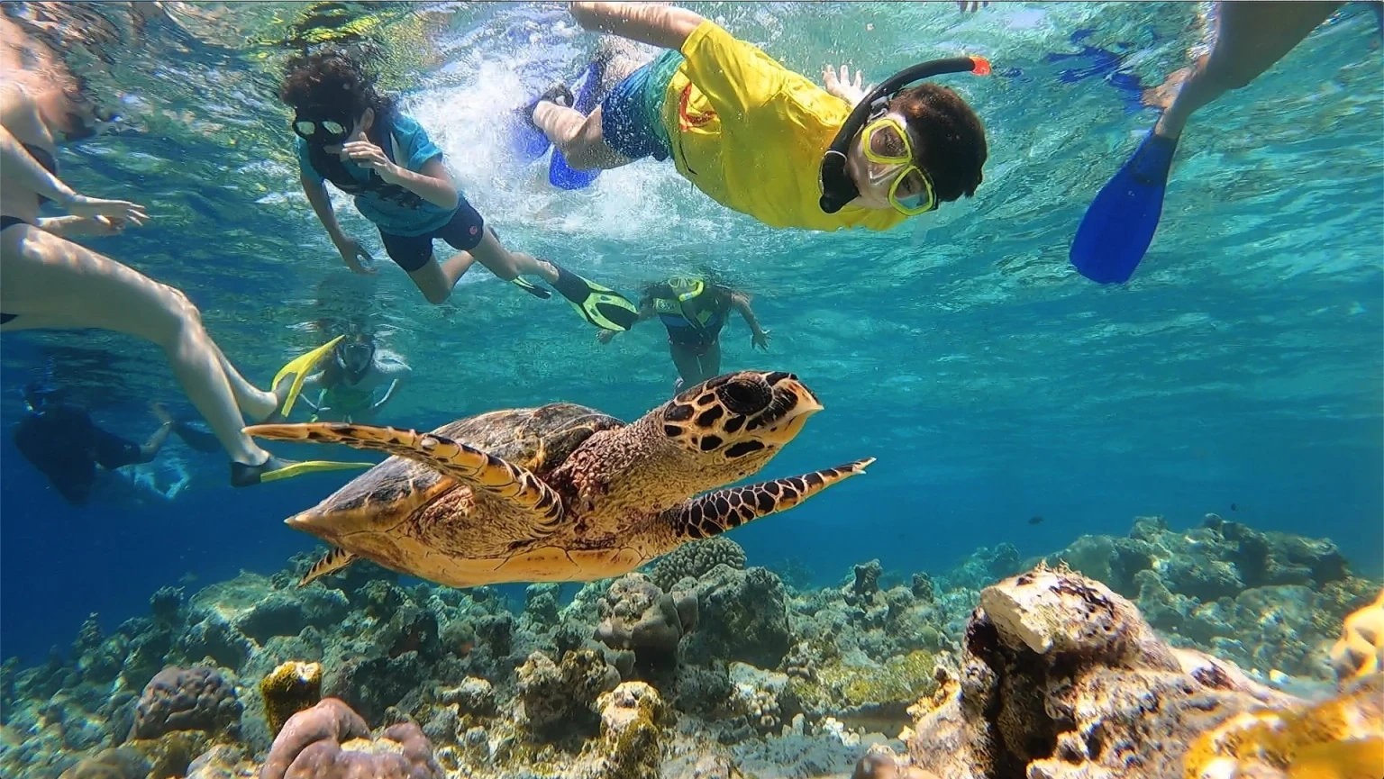 Day at leisure or optional access to the sea, with snorkeling, water sports, and engaging kids' activities.