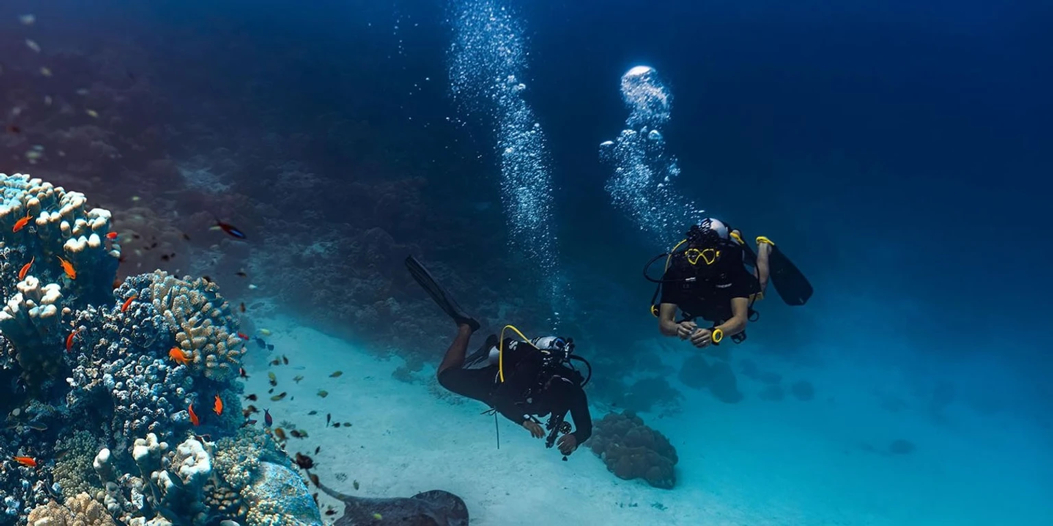 Day at leisure or optional marine-life encounters, where you can watch sea creatures pass by and admire the vibrant, colourful coral reefs below.