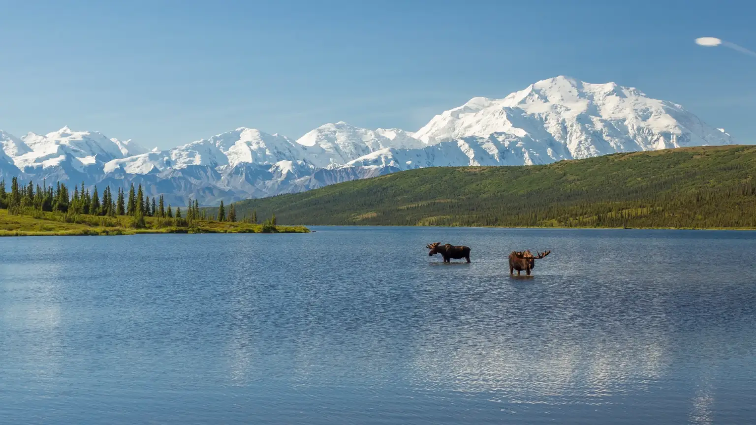 Travel to Fairbanks with a stop en route to Denali National Park