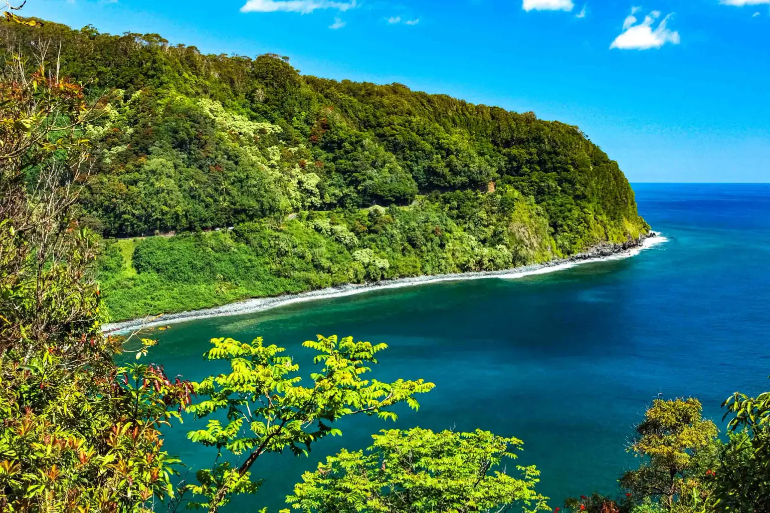 Hana Rainforest Adventure Tour