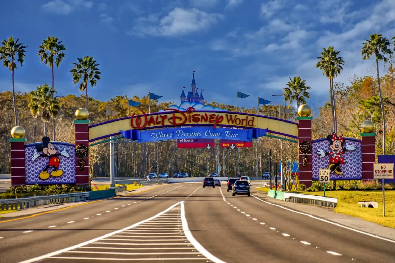Disney's Theme park