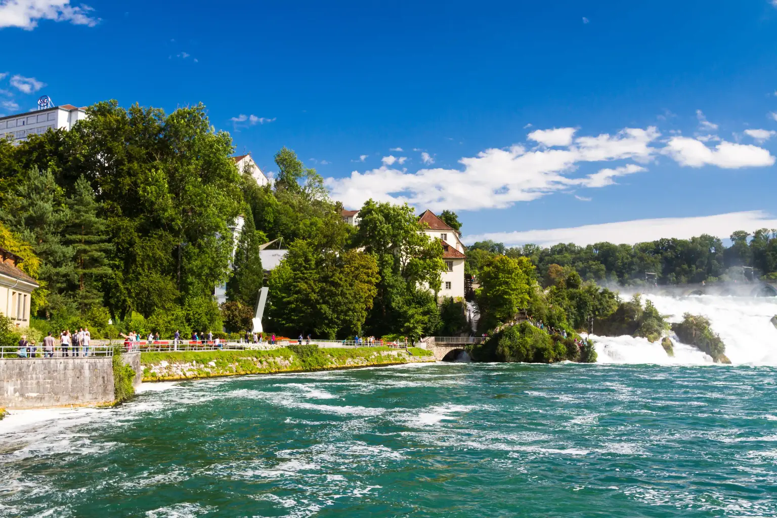 Rhine Falls & Black Forest - Cuckoo clocks