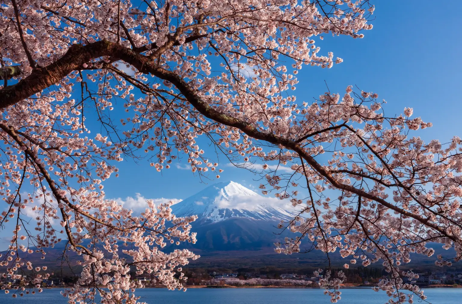 Mt. Fuji & Hakone Tour