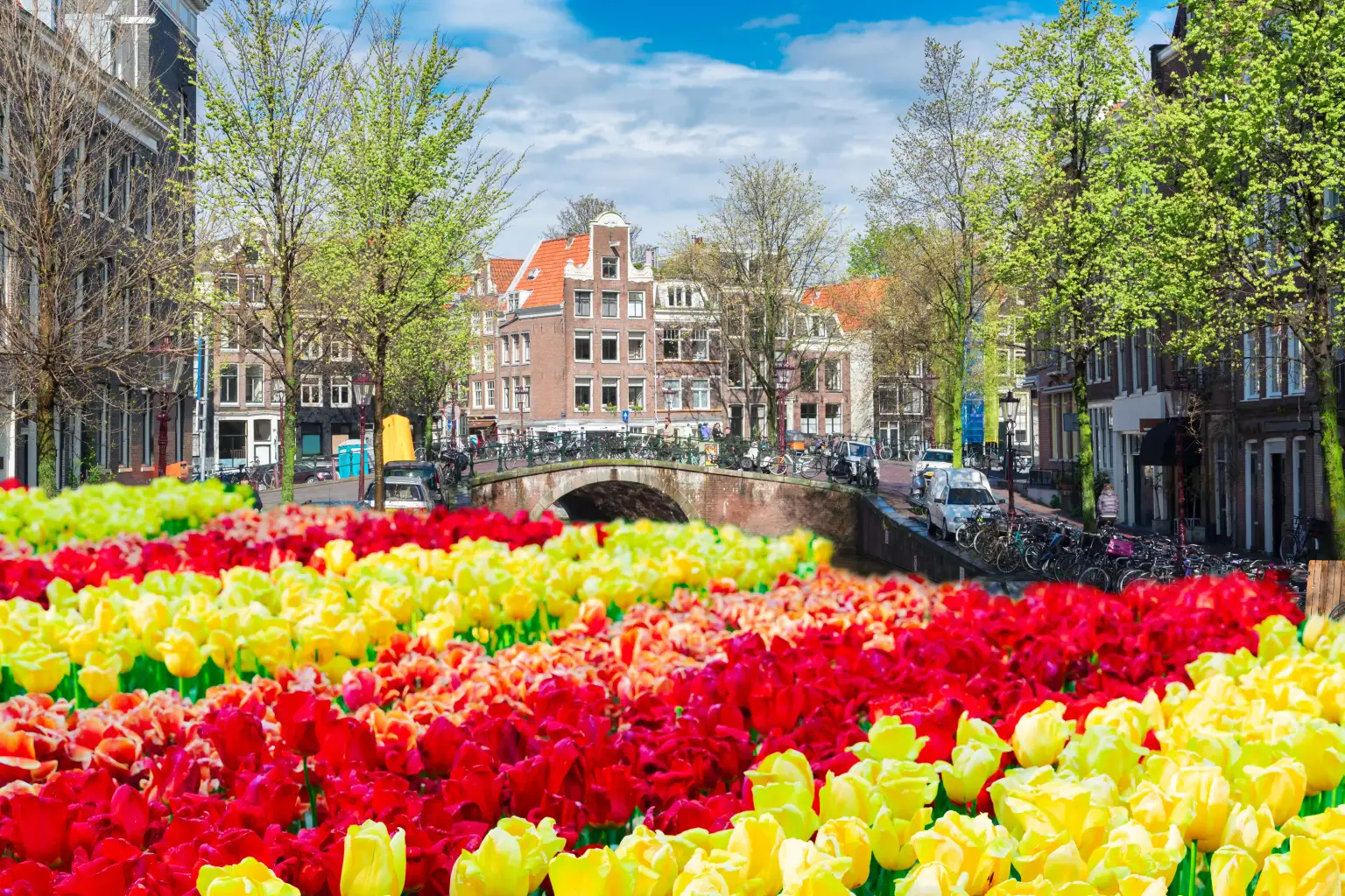 Amsterdam - Tulips, Windmills & Canals