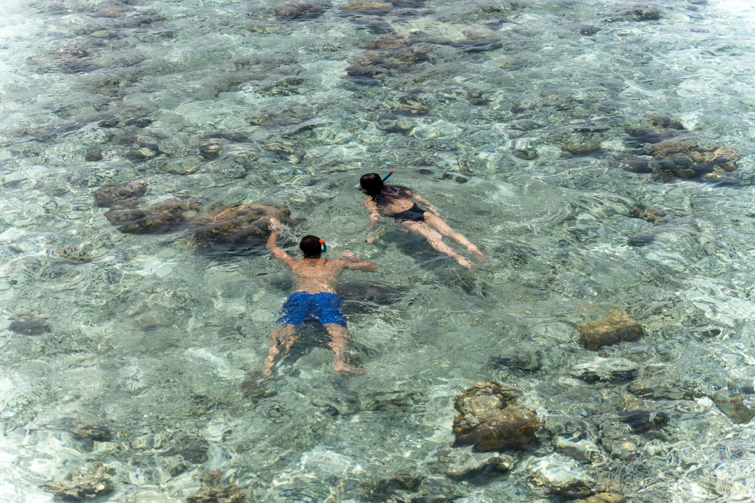 Day at leisure or optional water sports package to explore the underwater world in its richest sense while you dive your way through it.