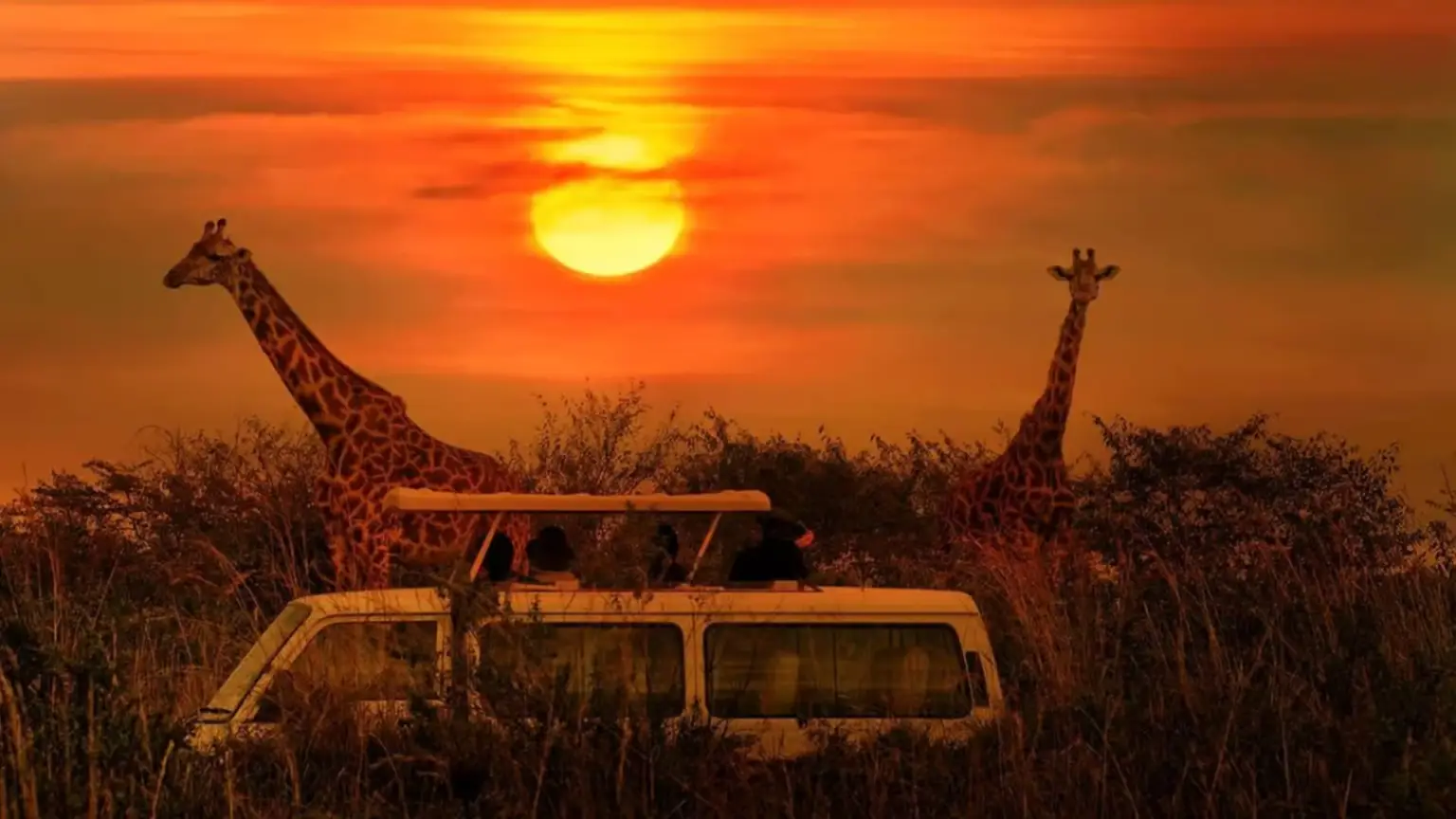 Sunset Safari inside the Kruger National Park.