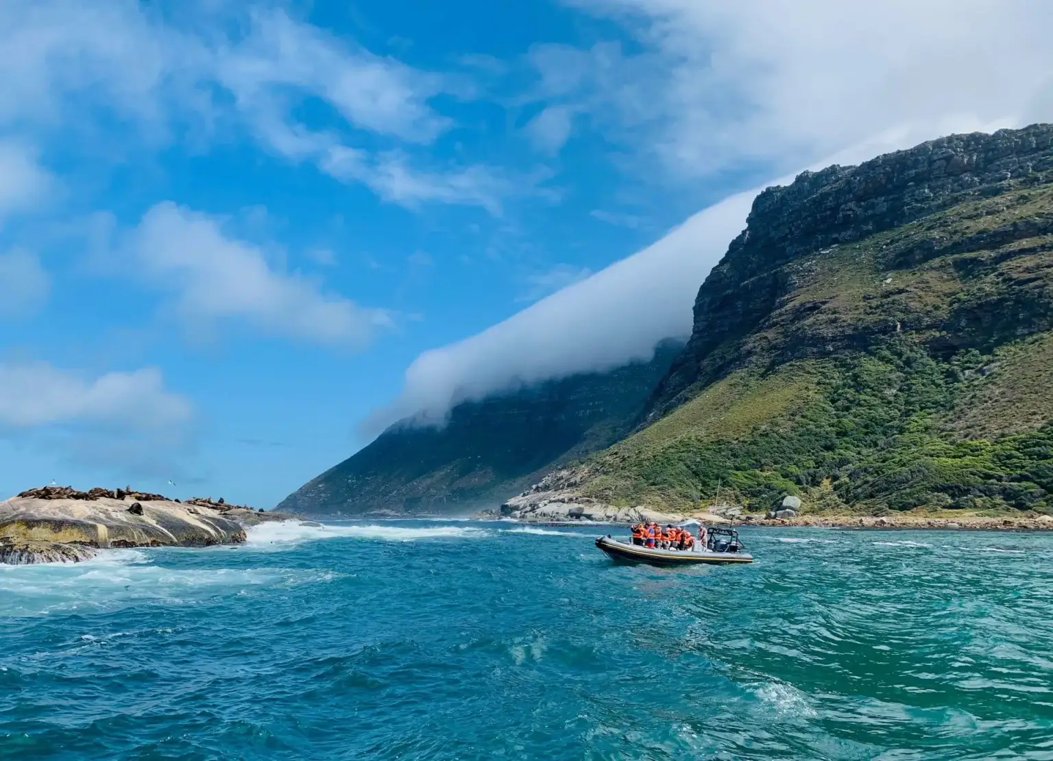 Penguins & Cape of Good Hope Day Tour with Pickup