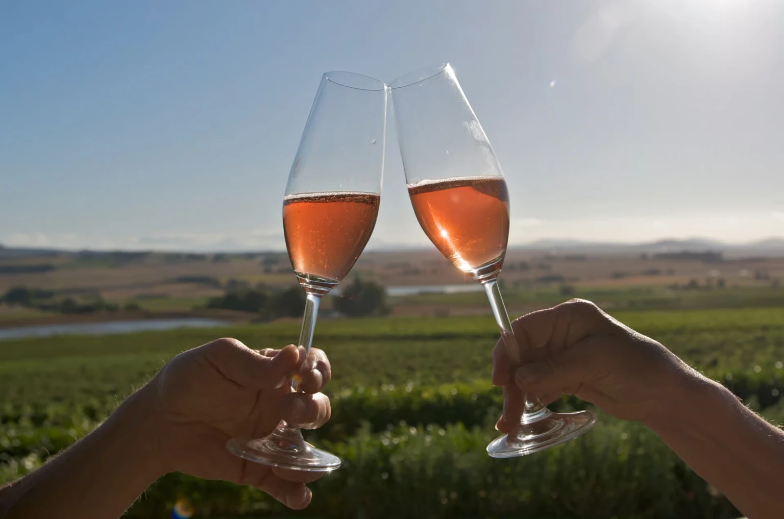 Full-Day Winelands Tour with Wine Tastings & Food