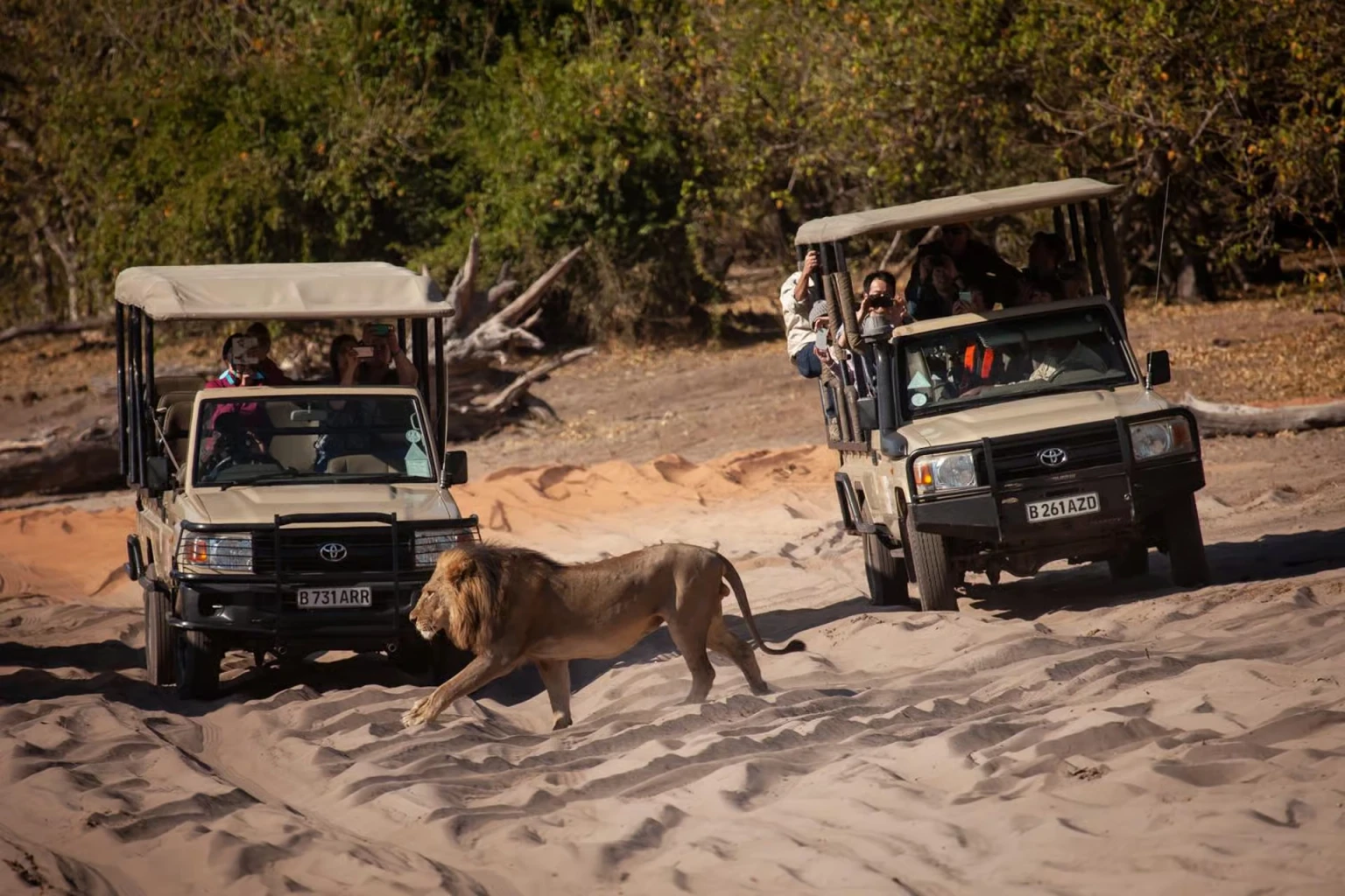 Game Drive