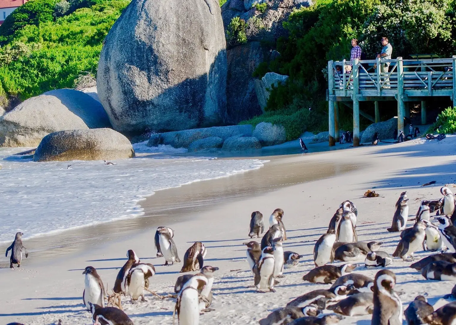 Full Day Cape point tour