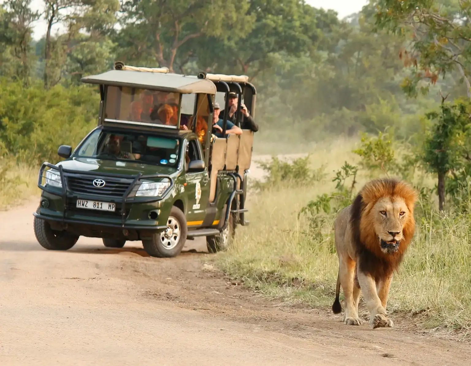 Full Day Kruger Safari