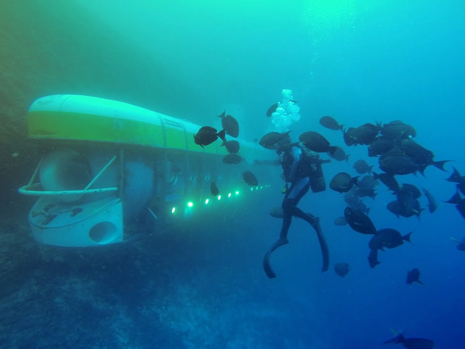 Day at leisure or optional visit to an underwater world, in a state-of-the-art Whale Submarine.