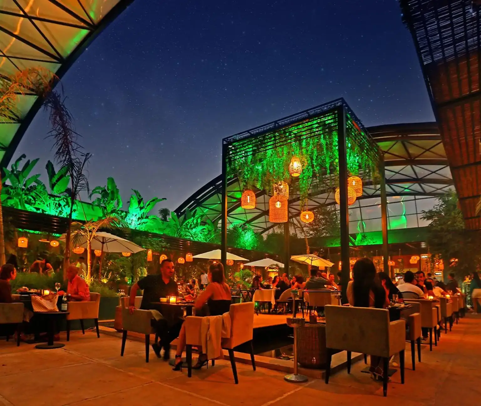 Dinner Show at Nouba Restaurant