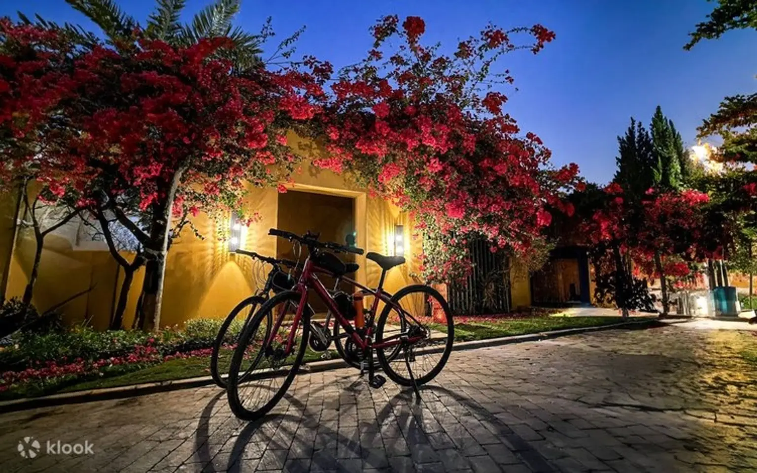 Riyadh Wadi Hanifa Full-Day Cycling Tour