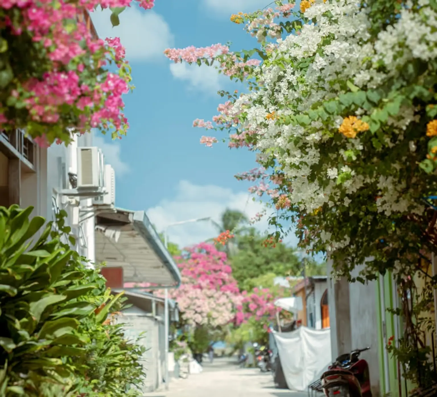Day at leisure or optional visit to experience the traditional lifestyle of typical Maldivians in their own habitat.