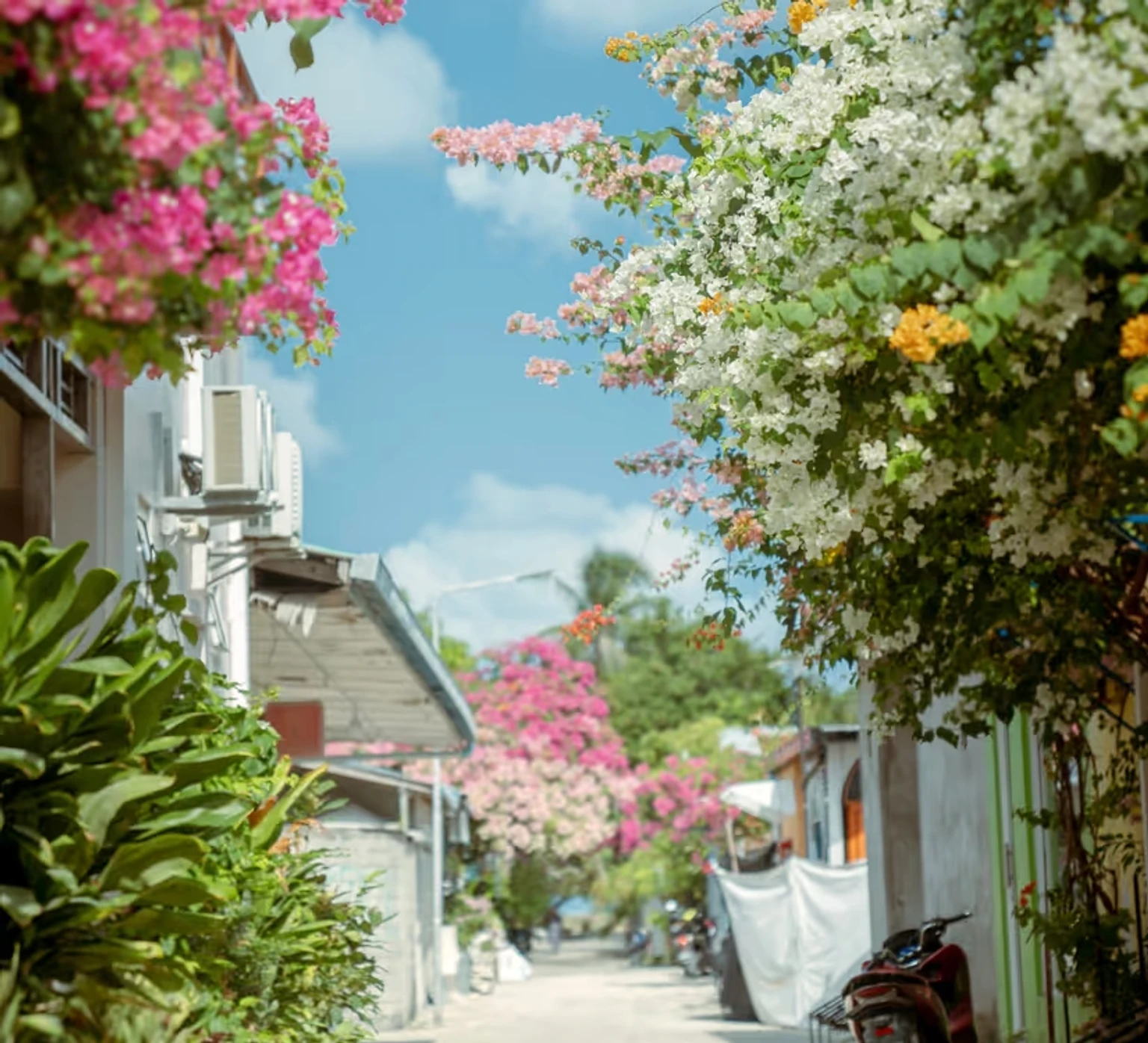 Day at leisure or optional visit to experience the traditional lifestyle of typical Maldivians in their own habitat.