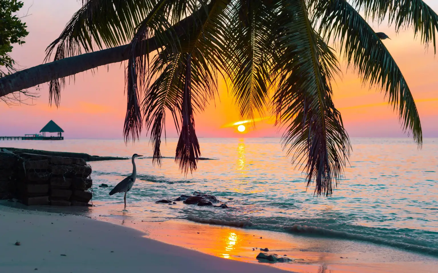 Day At Leisure (Meal Plan: All Inclusive)