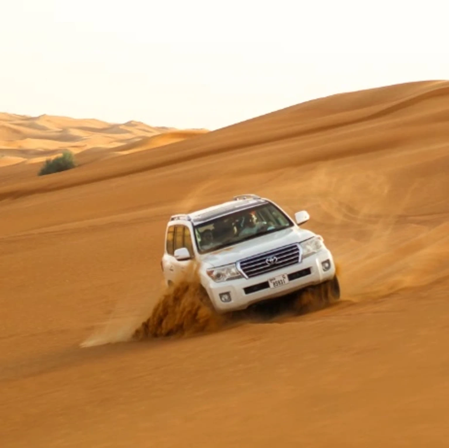 Stunning holiday package display featuring attractions and activities in Abu Dhabi.