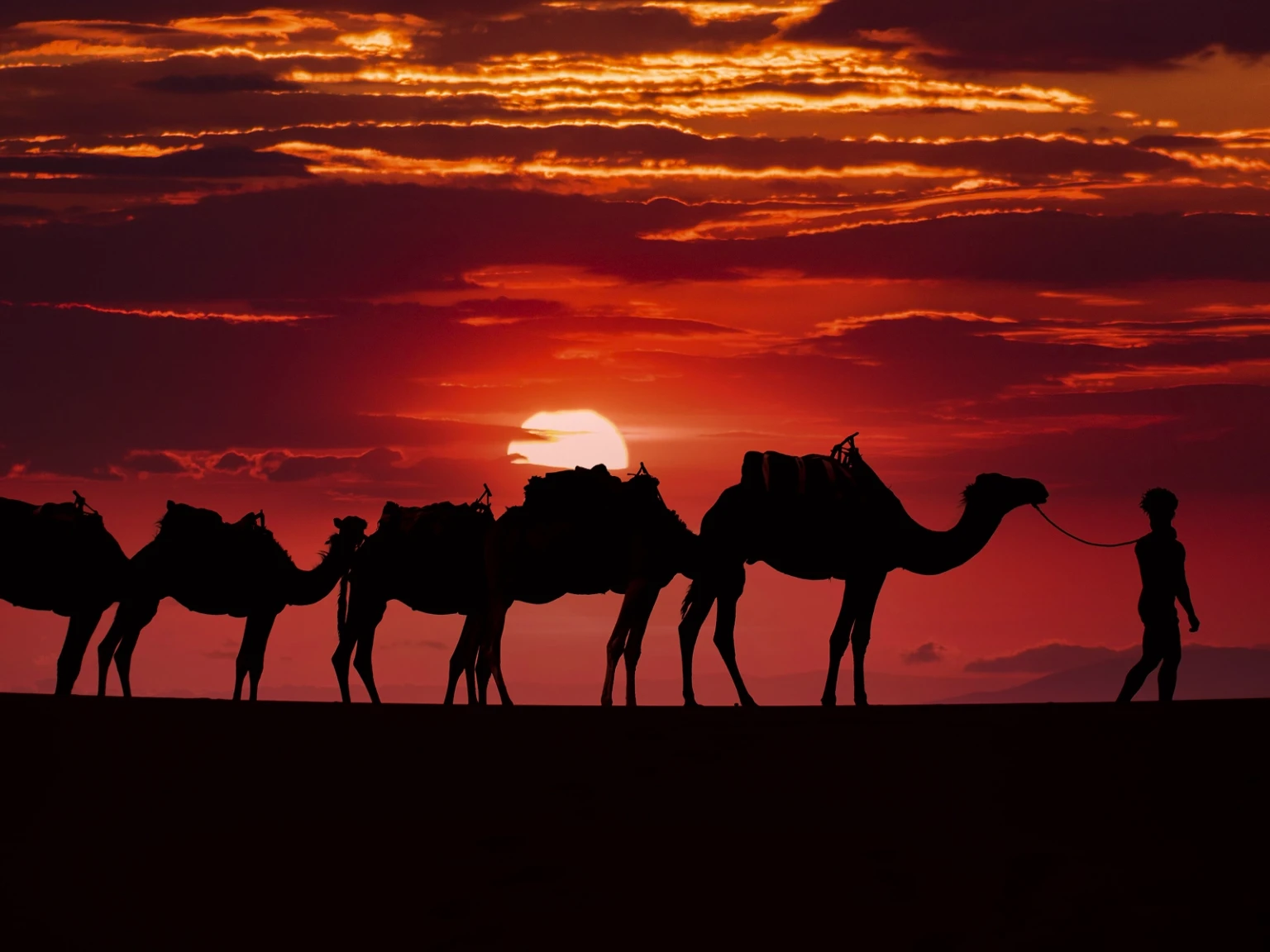 Abu Dhabi Desert Dreams