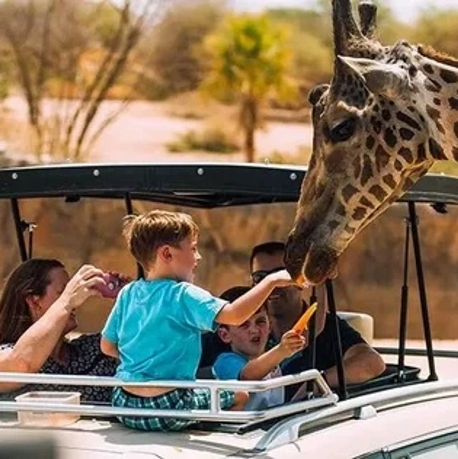 "Luxurious holiday packages showcasing iconic landmarks of Abu Dhabi"