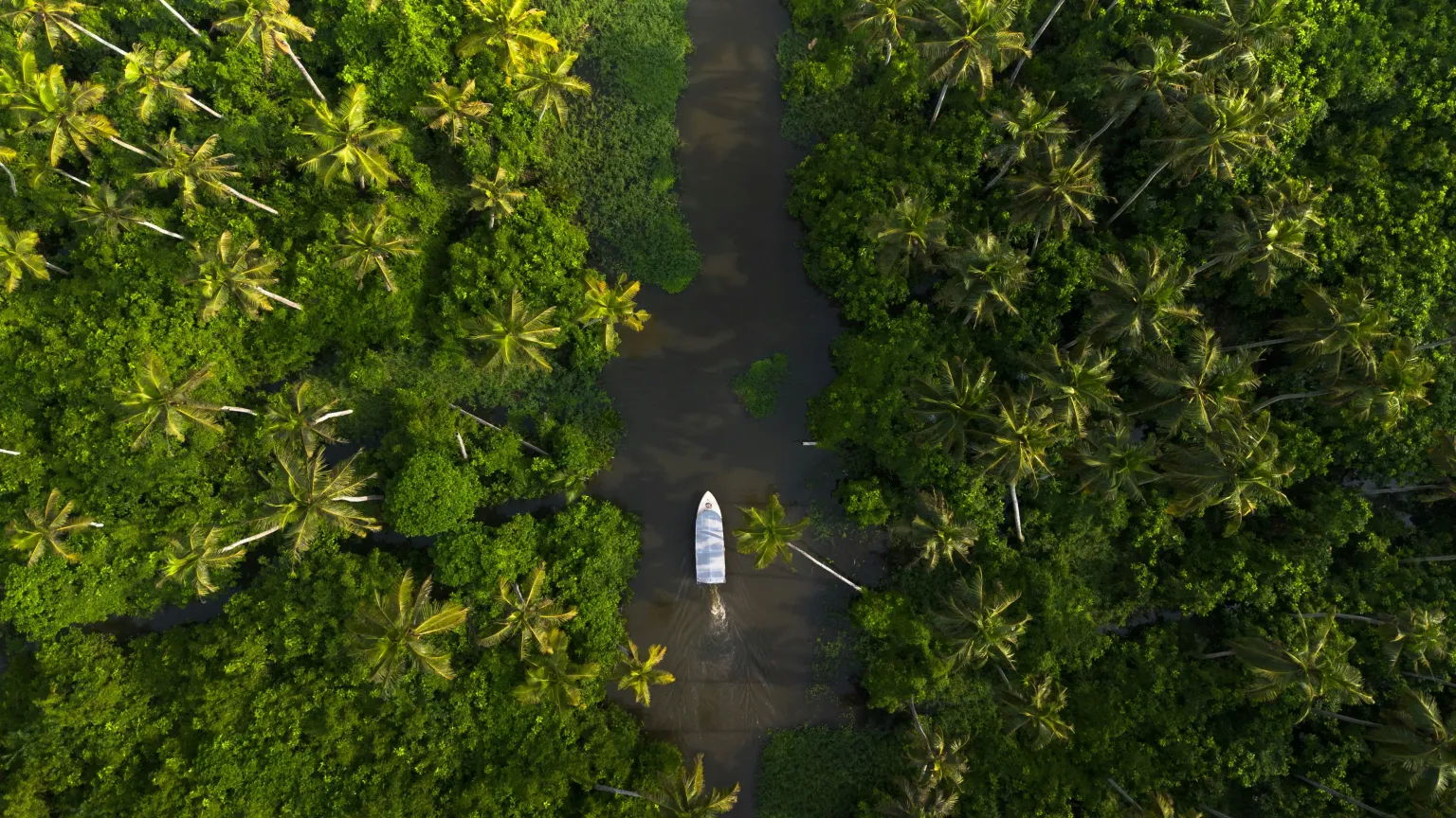 Alleppey Backwater1.jpg
