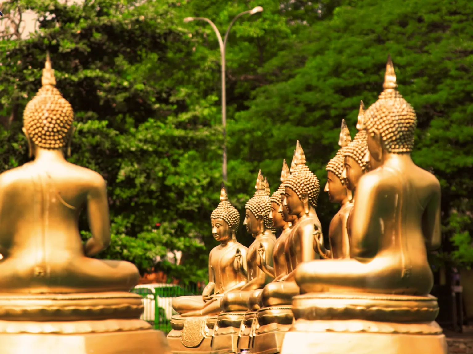 Ancient Temples for Two