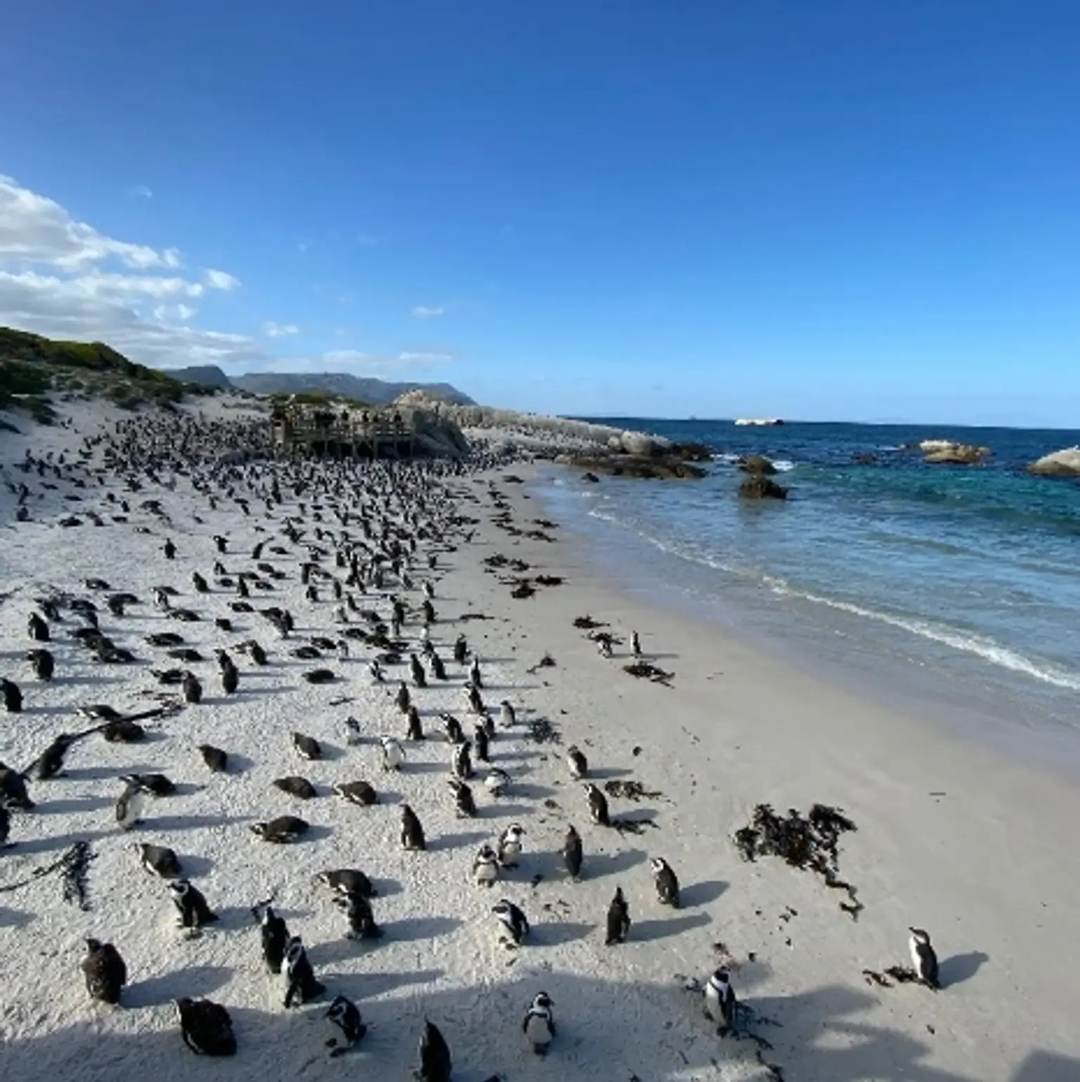 Colorful holiday packages showcasing travel destinations in Australia.