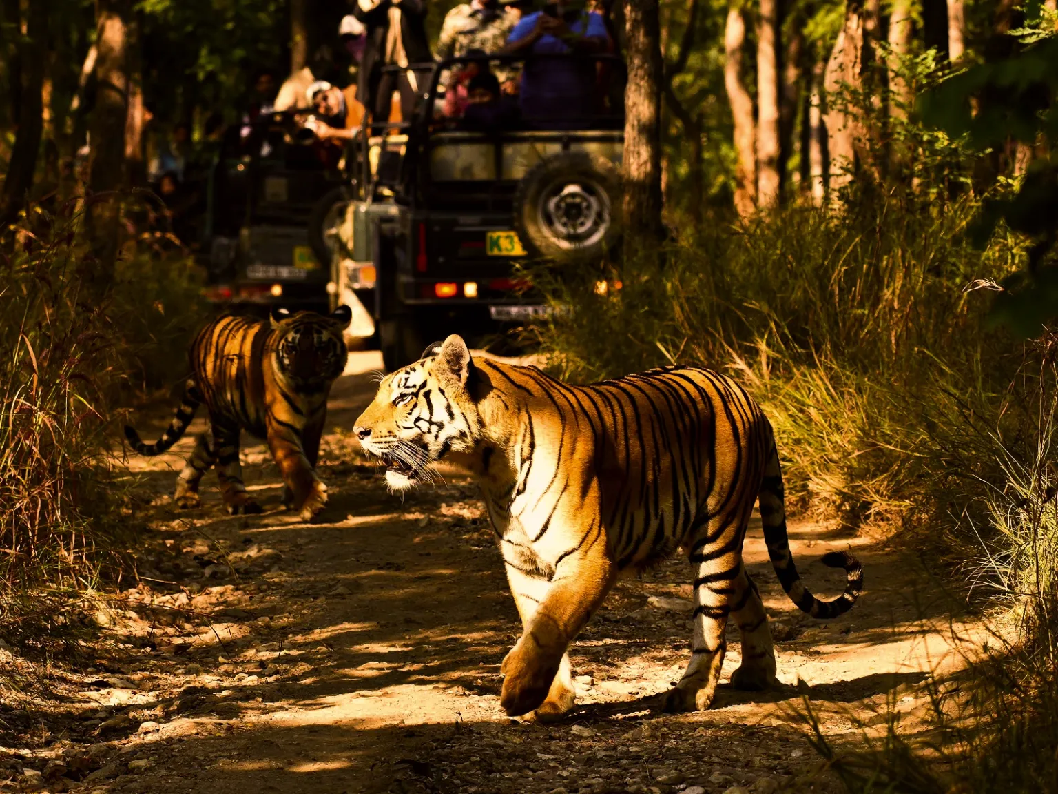 Bali Funventure